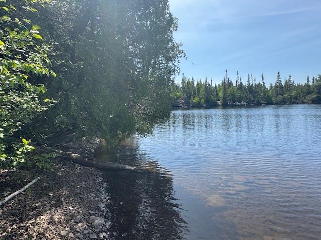 14XX Tom Lake Rd Hovland MN 55606 - Tom 6123264 image17