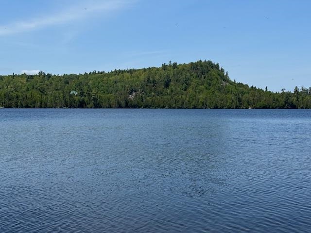 14XX Tom Lake Rd Hovland MN 55606 - Tom 6123264 image3