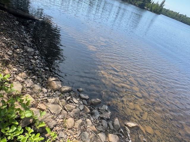 14XX Tom Lake Rd Hovland MN 55606 - Tom 6123264 image5