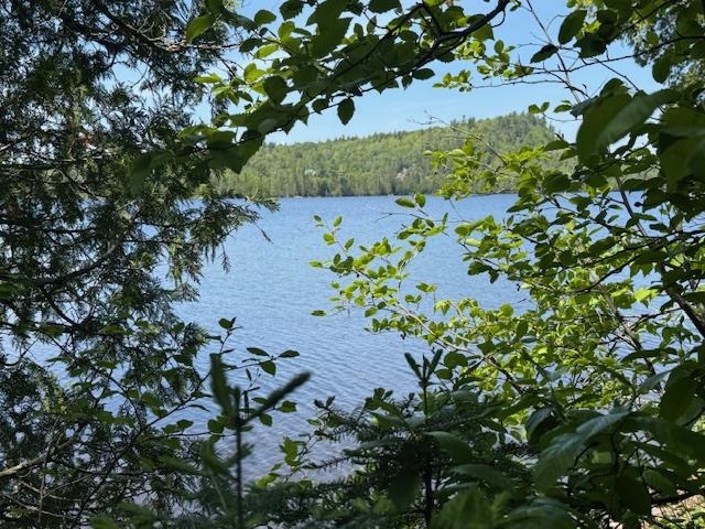 14XX Tom Lake Rd Hovland MN 55606 - Tom 6123264 image6