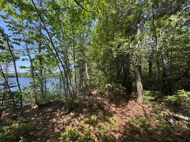 14XX Tom Lake Rd Hovland MN 55606 - Tom 6123264 image9