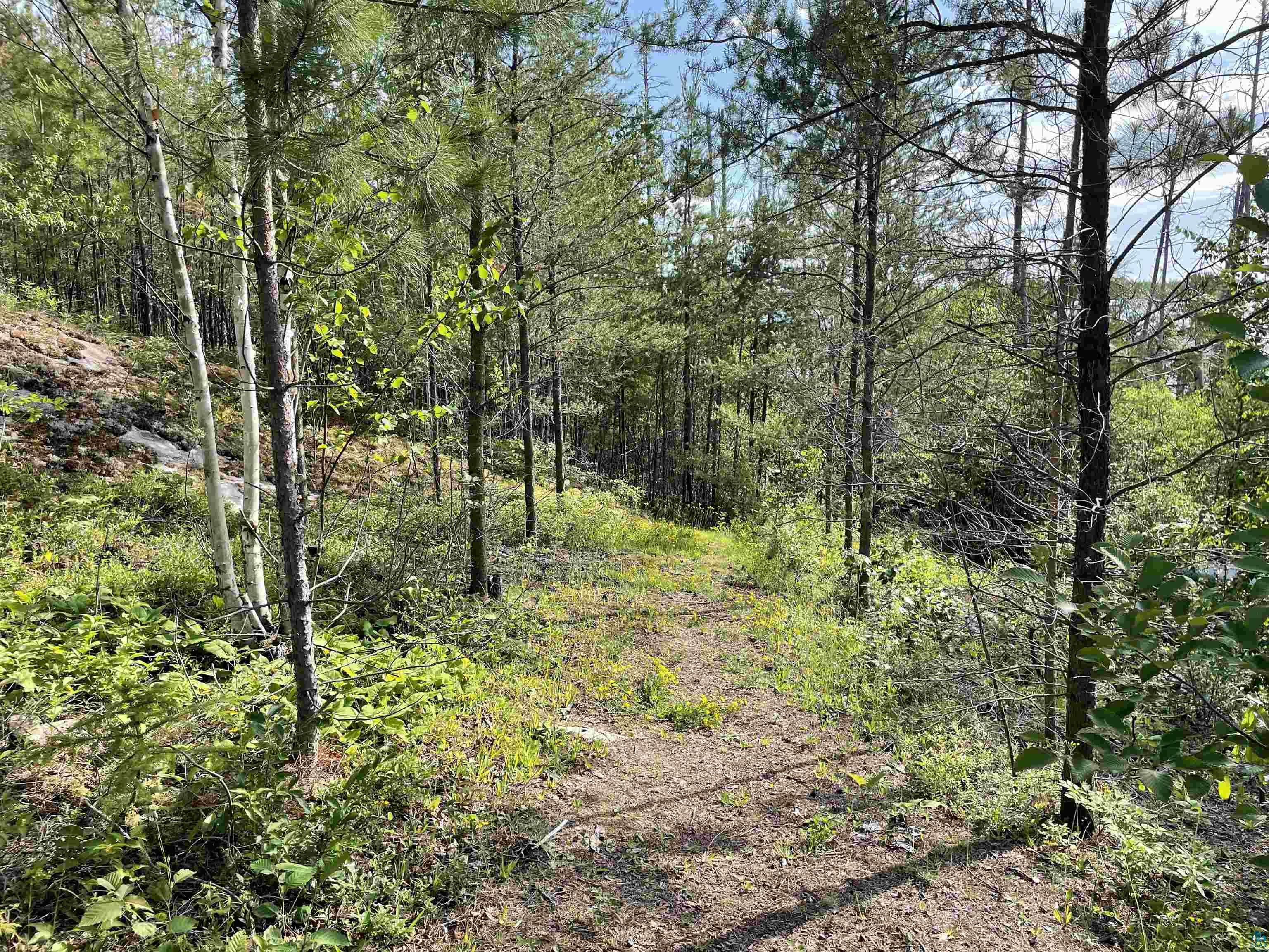 15 Blankenburg Ln Grand Marais MN 55604 - Sea Gull 6124149 image42