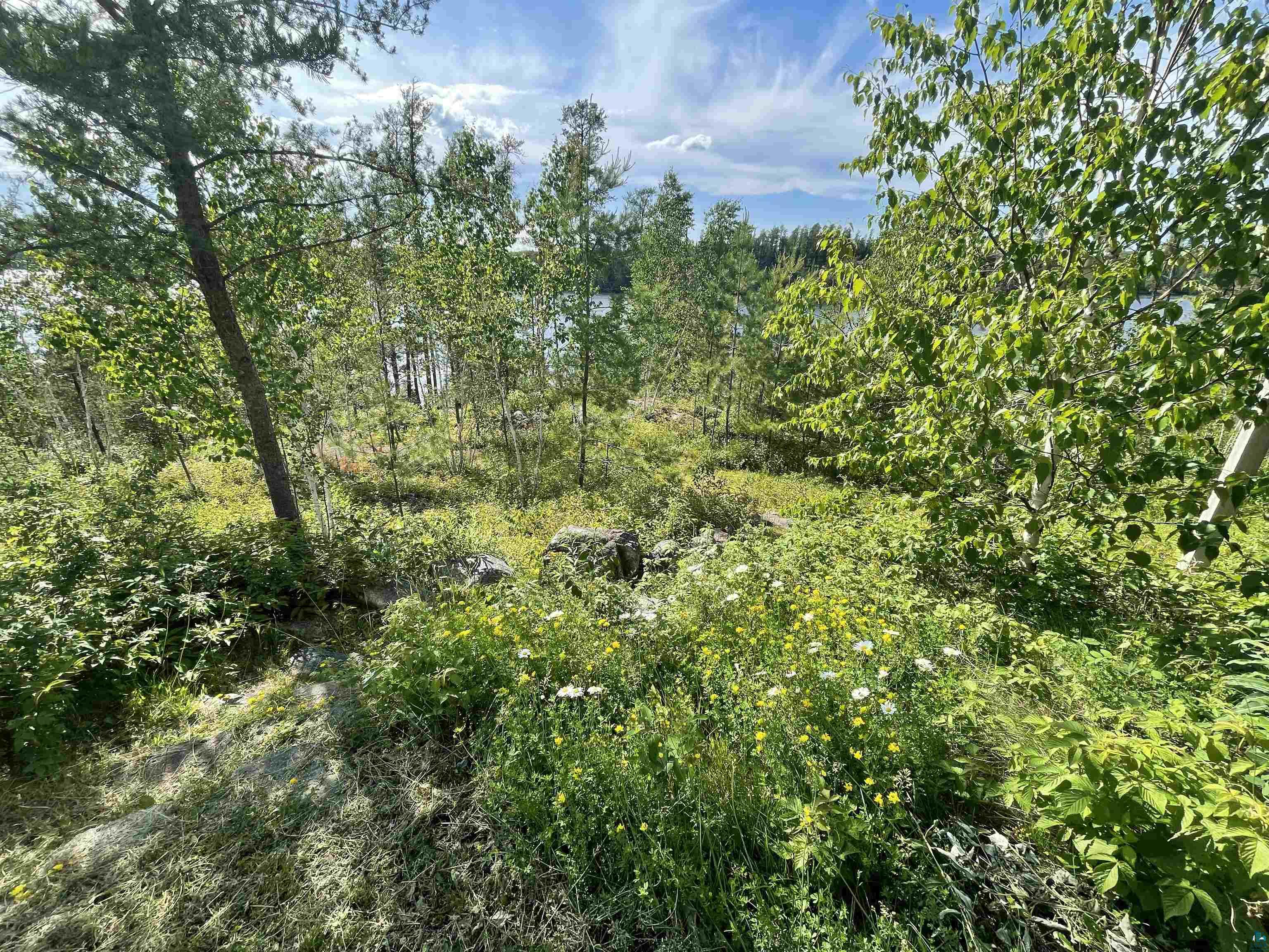 15 Blankenburg Ln Grand Marais MN 55604 - Sea Gull 6124149 image46