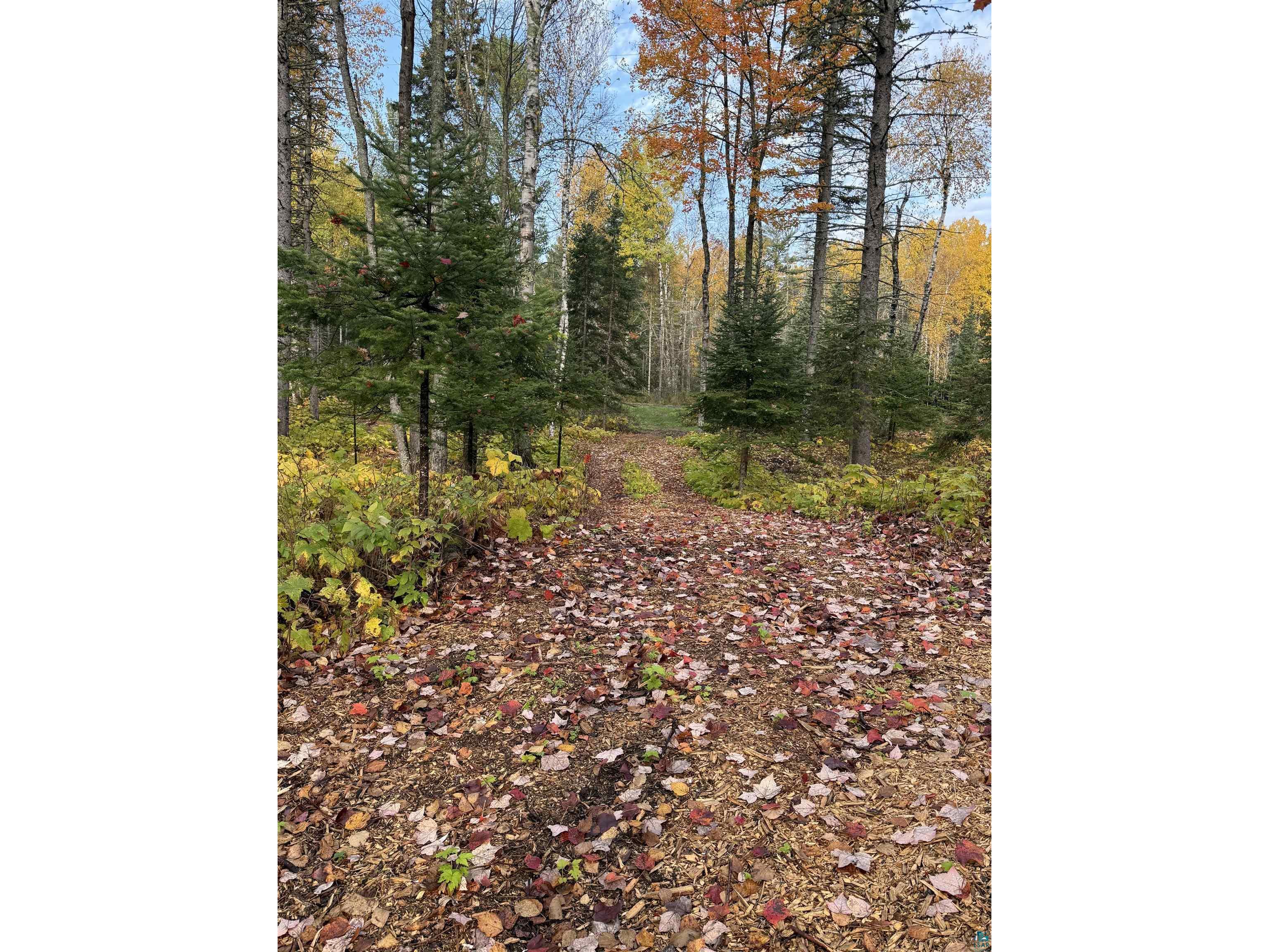 1504 Homestead Dr Duluth MN 55804 - Little Knife River 6124426 image59