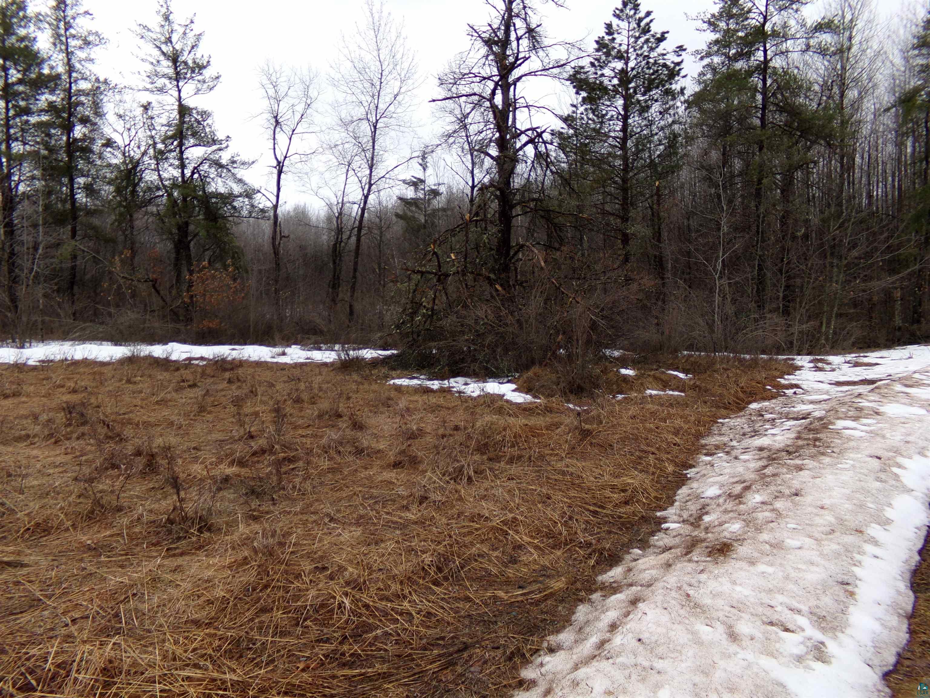 15043 S Thorn Lake Loop, Wascott, WI, 54838 MLS 6108051 Edina Realty