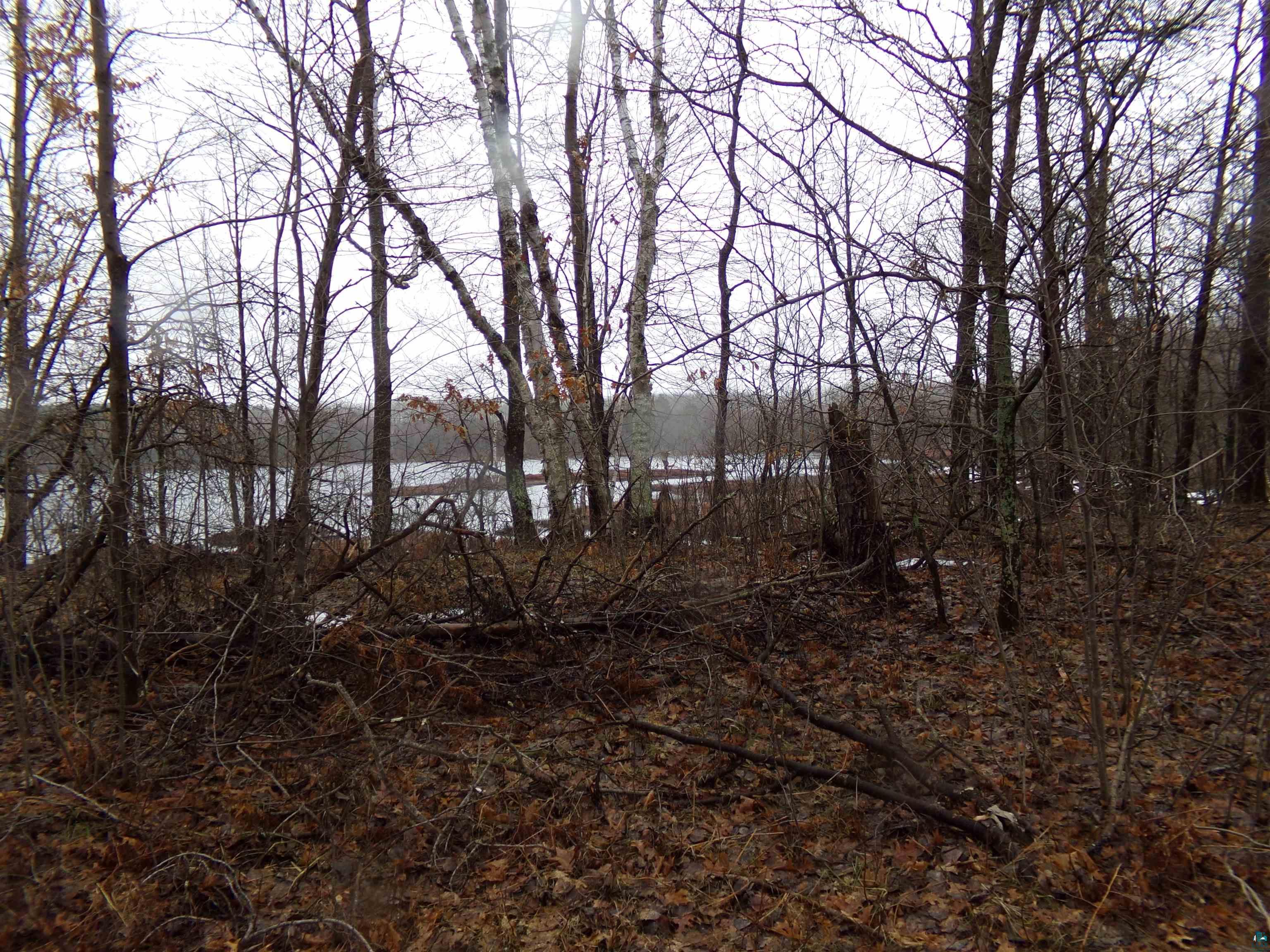 15043 S Thorn Lake Loop, Wascott, WI, 54838 MLS 6108051 Edina Realty