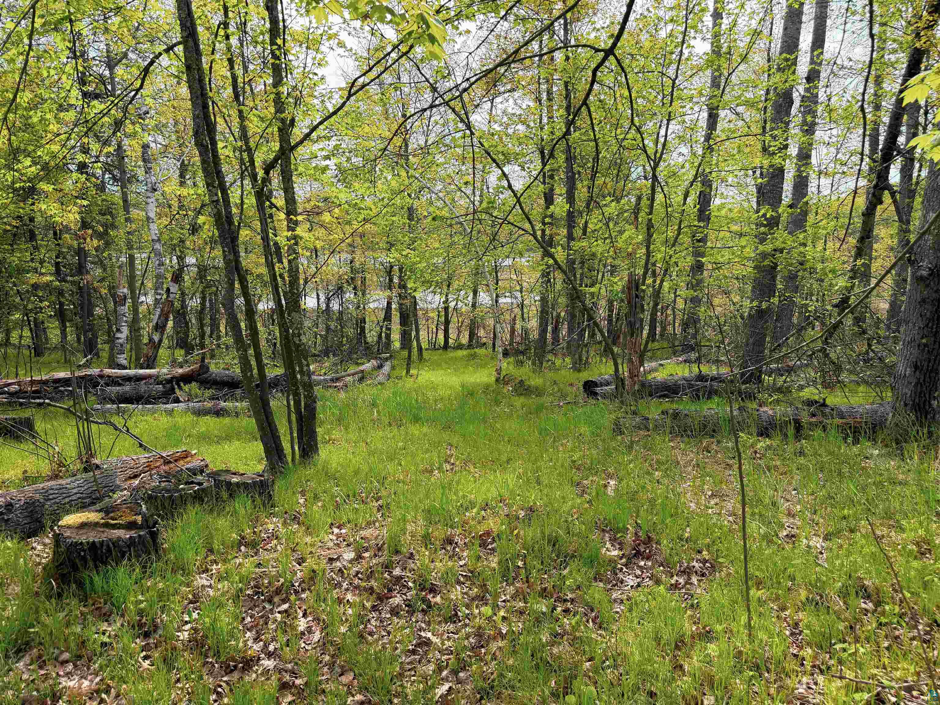 15051 S Thorn Lake Loop Gordon WI 54838 - Thorn 6124770 image6