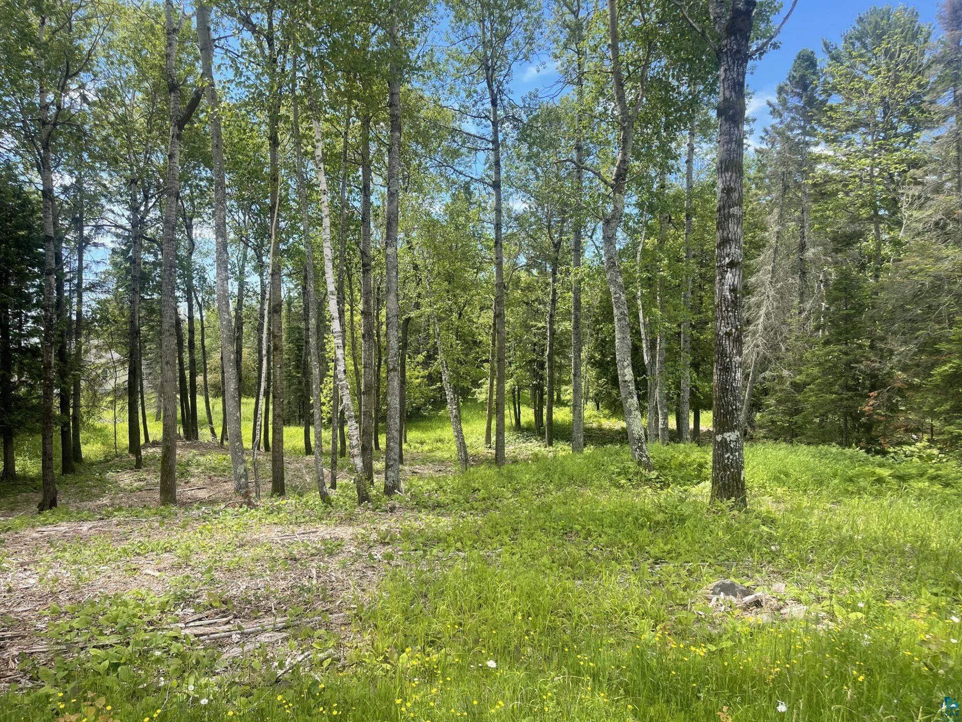 1514 14th Ave Two Harbors MN 55616 6115452 image1