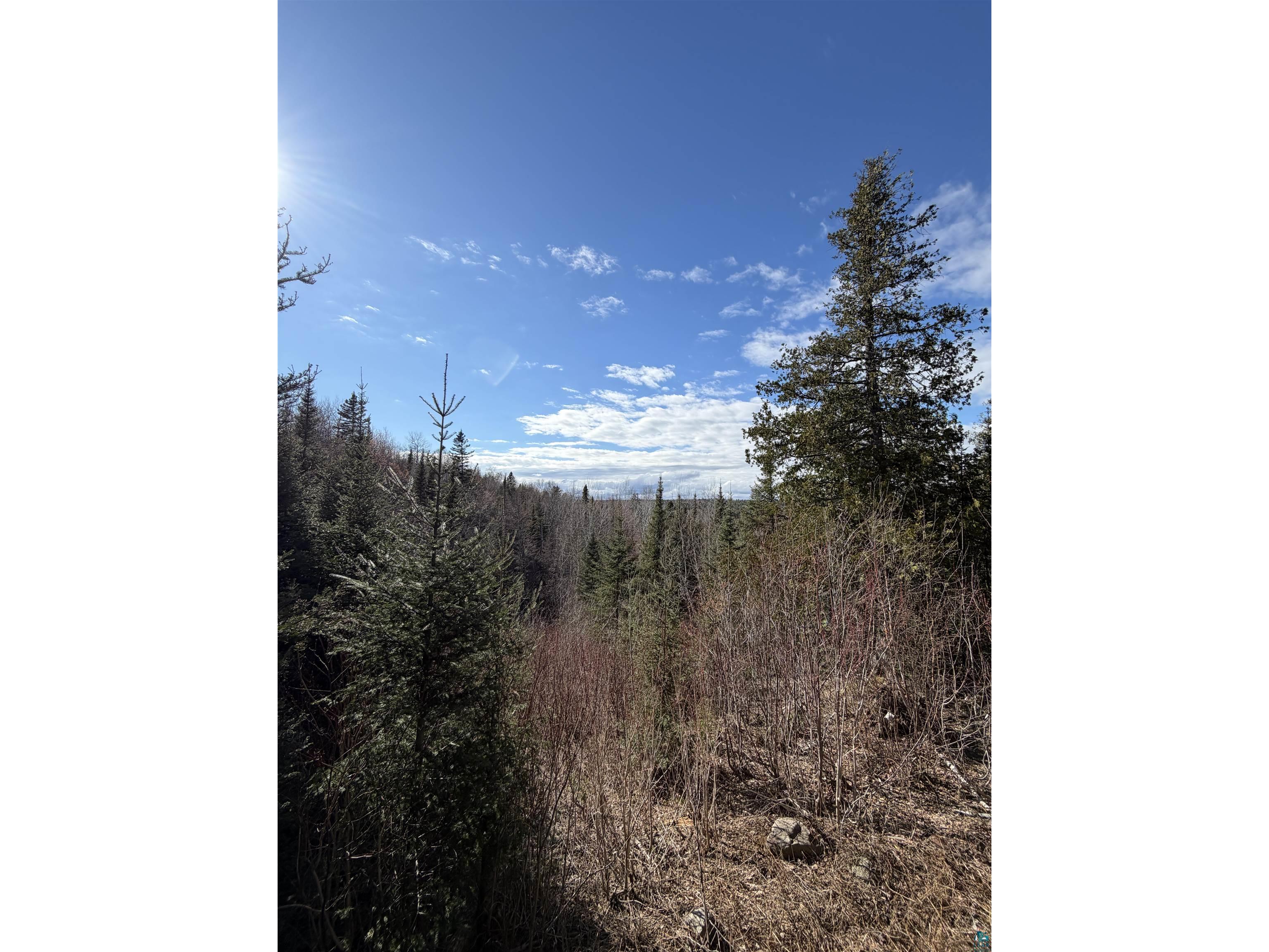 1537 Camp 20 Rd Hovland MN 55606 6125529 image17