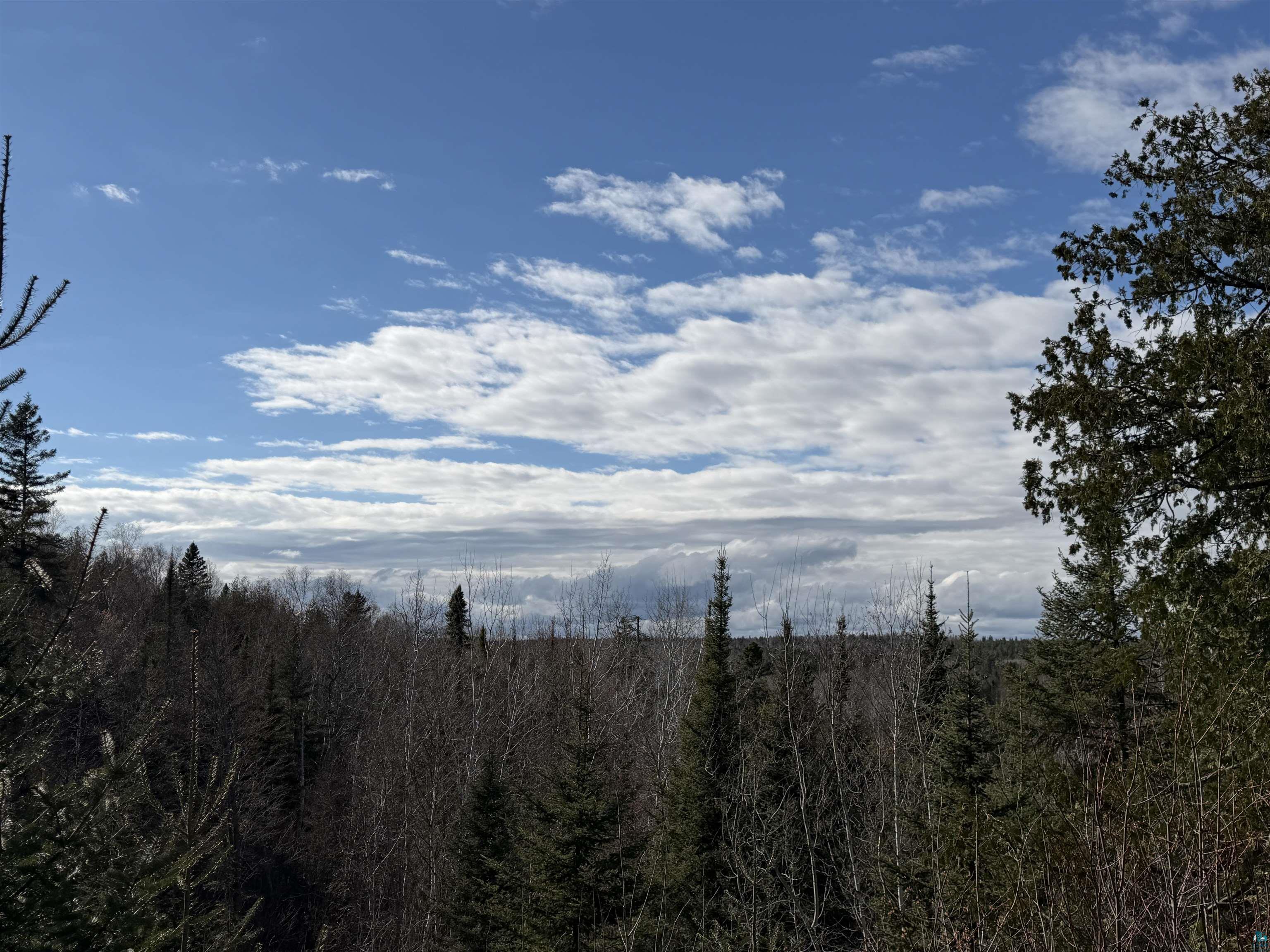 1537 Camp 20 Rd Hovland MN 55606 6125529 image18