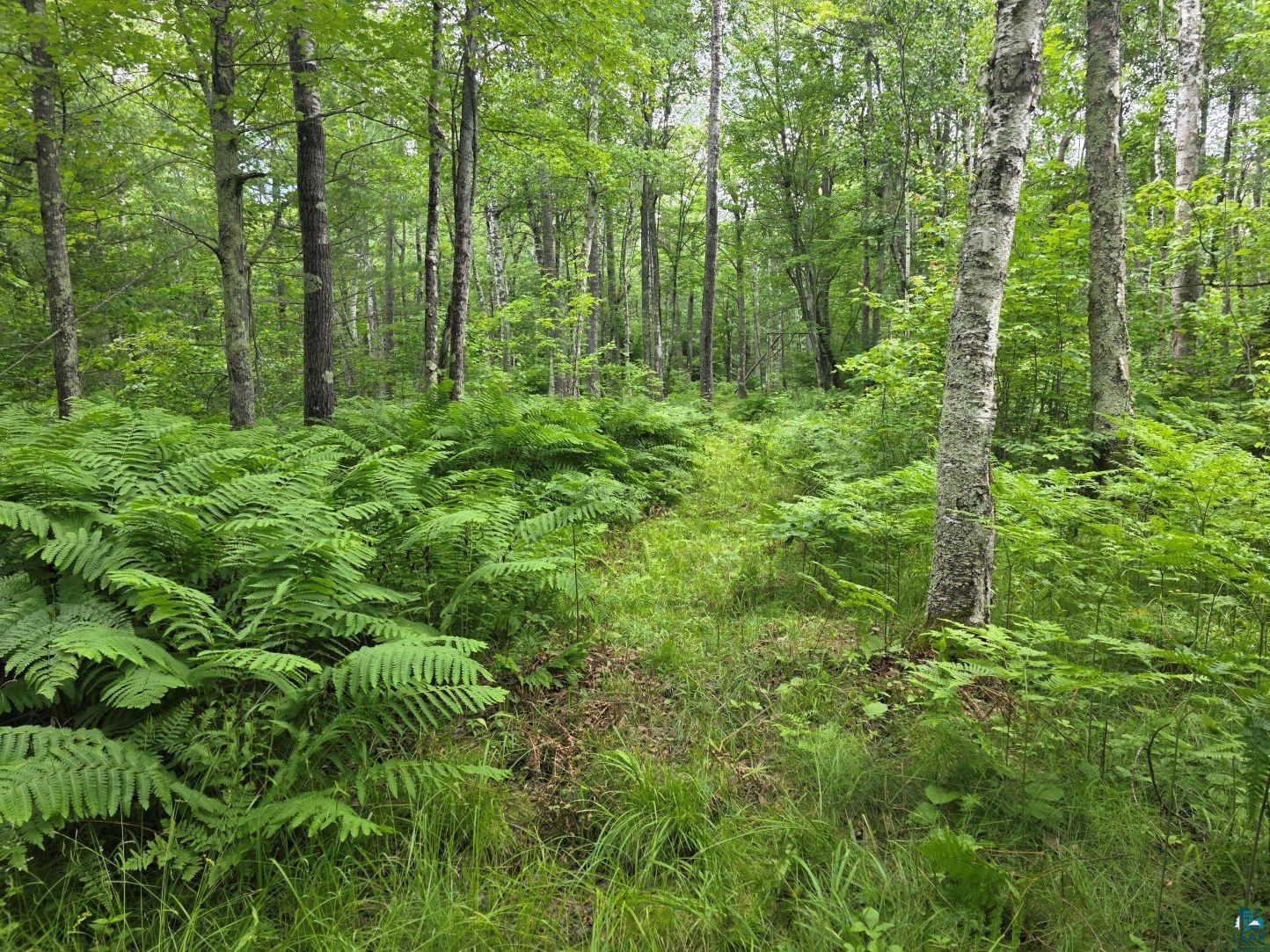 1567 North Shore Rd Lapointe WI 54850 6125333 image3