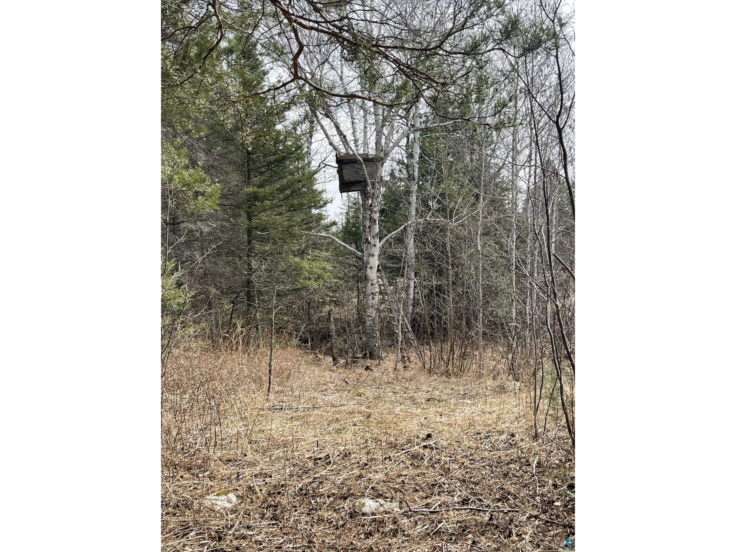 1572 Town Line Rd Brimson MN 55602 6125250 image25