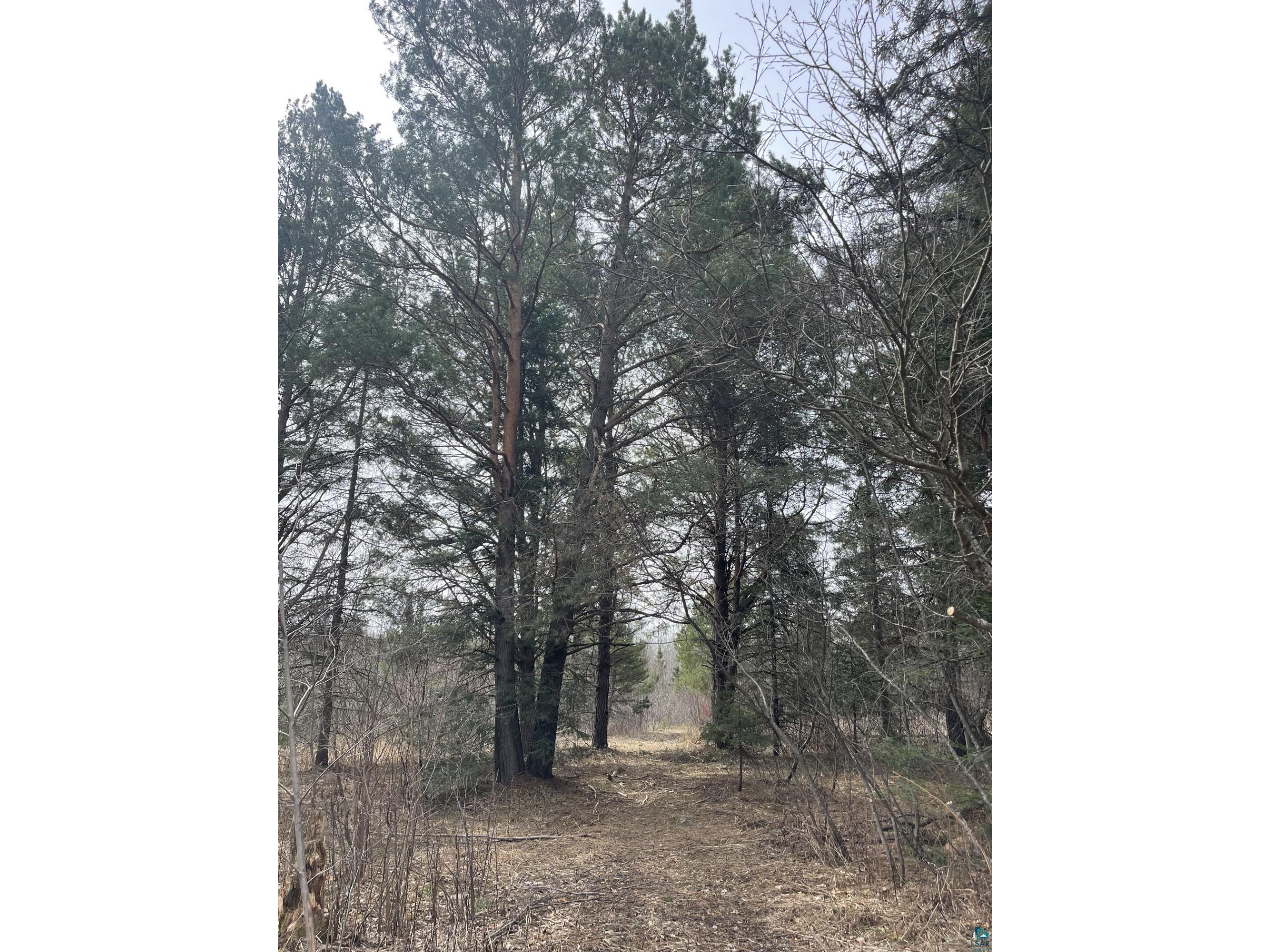 1572 Town Line Rd Brimson MN 55602 6125250 image27