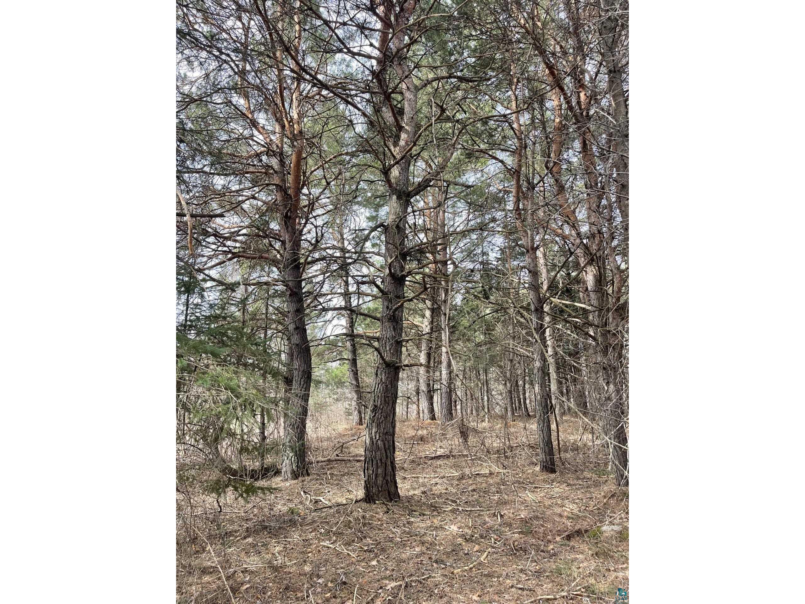 1572 Town Line Rd Brimson MN 55602 6125250 image34