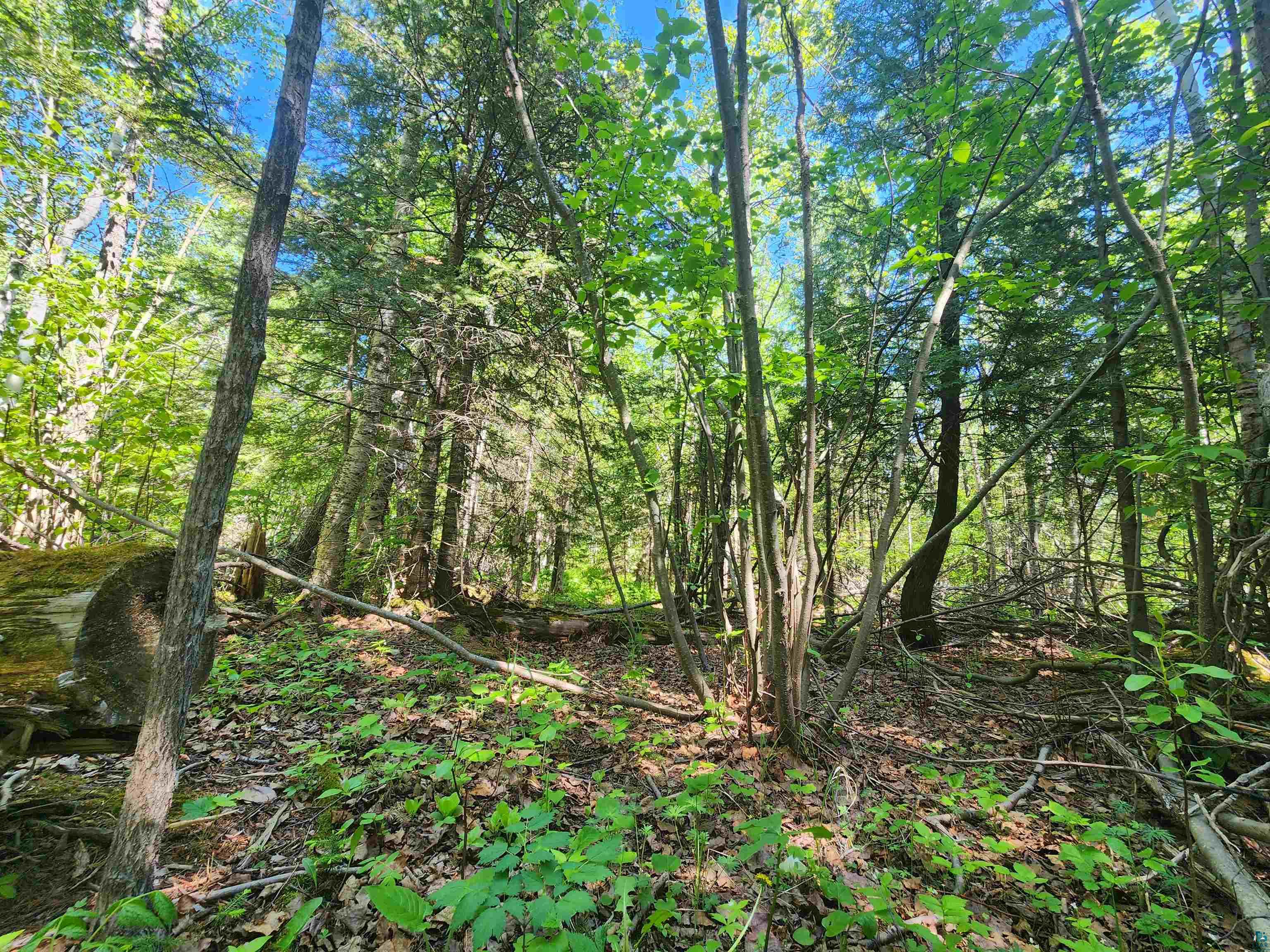 15X Ski Hill Rd Lutsen MN 55612 6125909 image10