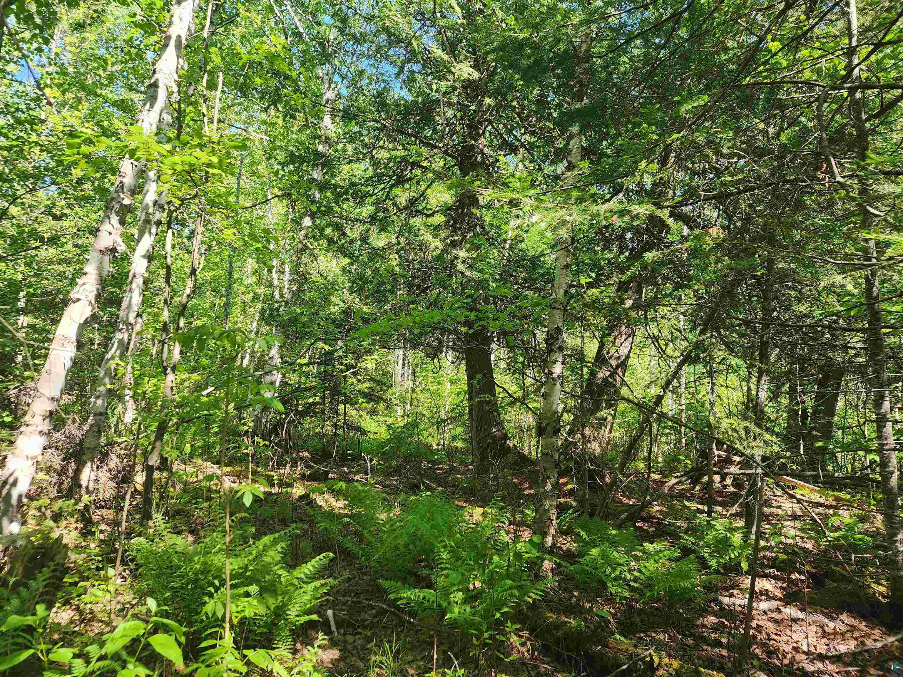 15X Ski Hill Rd Lutsen MN 55612 6125909 image11
