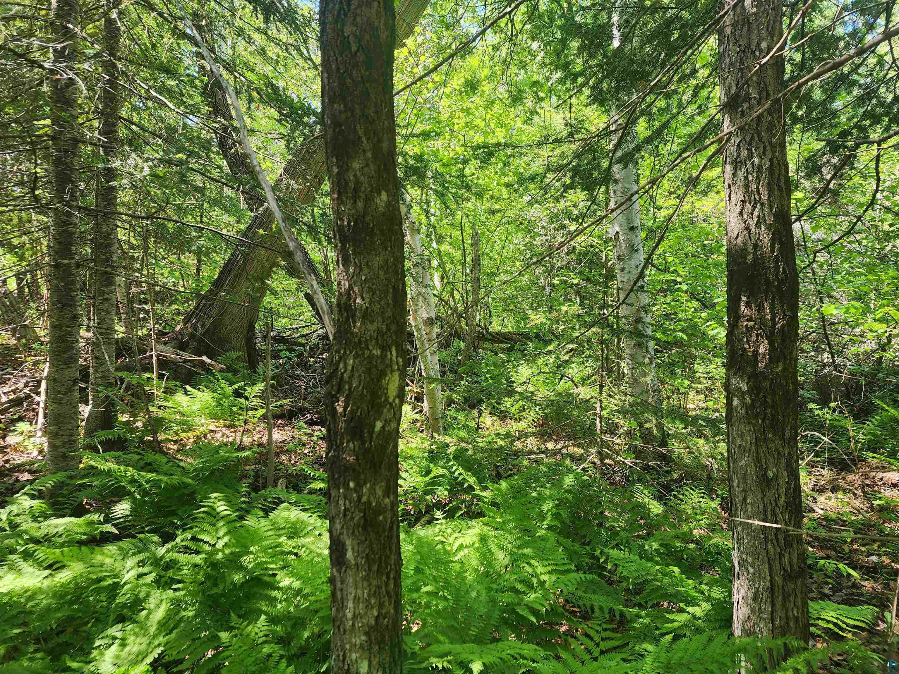 15X Ski Hill Rd Lutsen MN 55612 6125909 image12