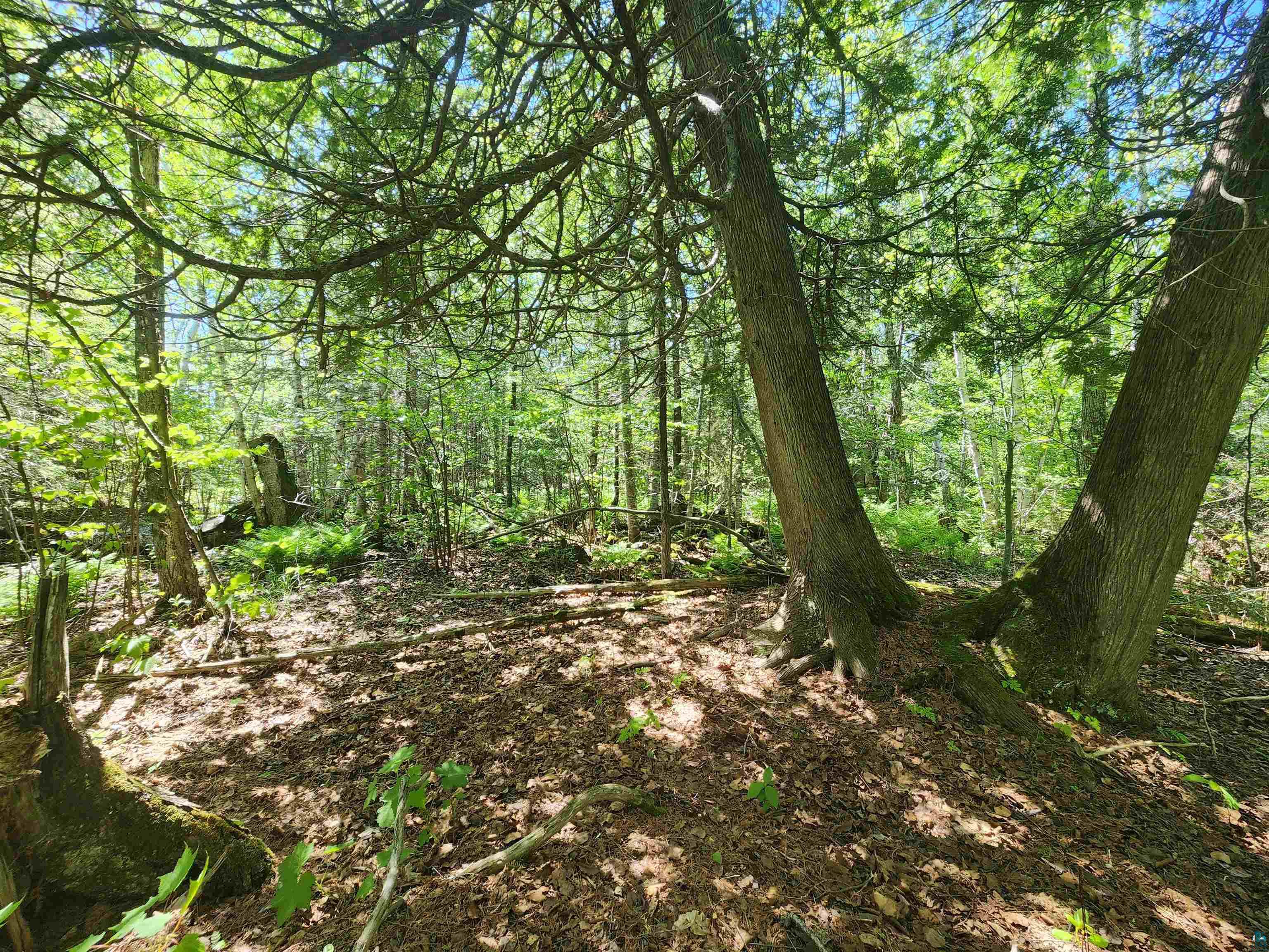 15X Ski Hill Rd Lutsen MN 55612 6125909 image13