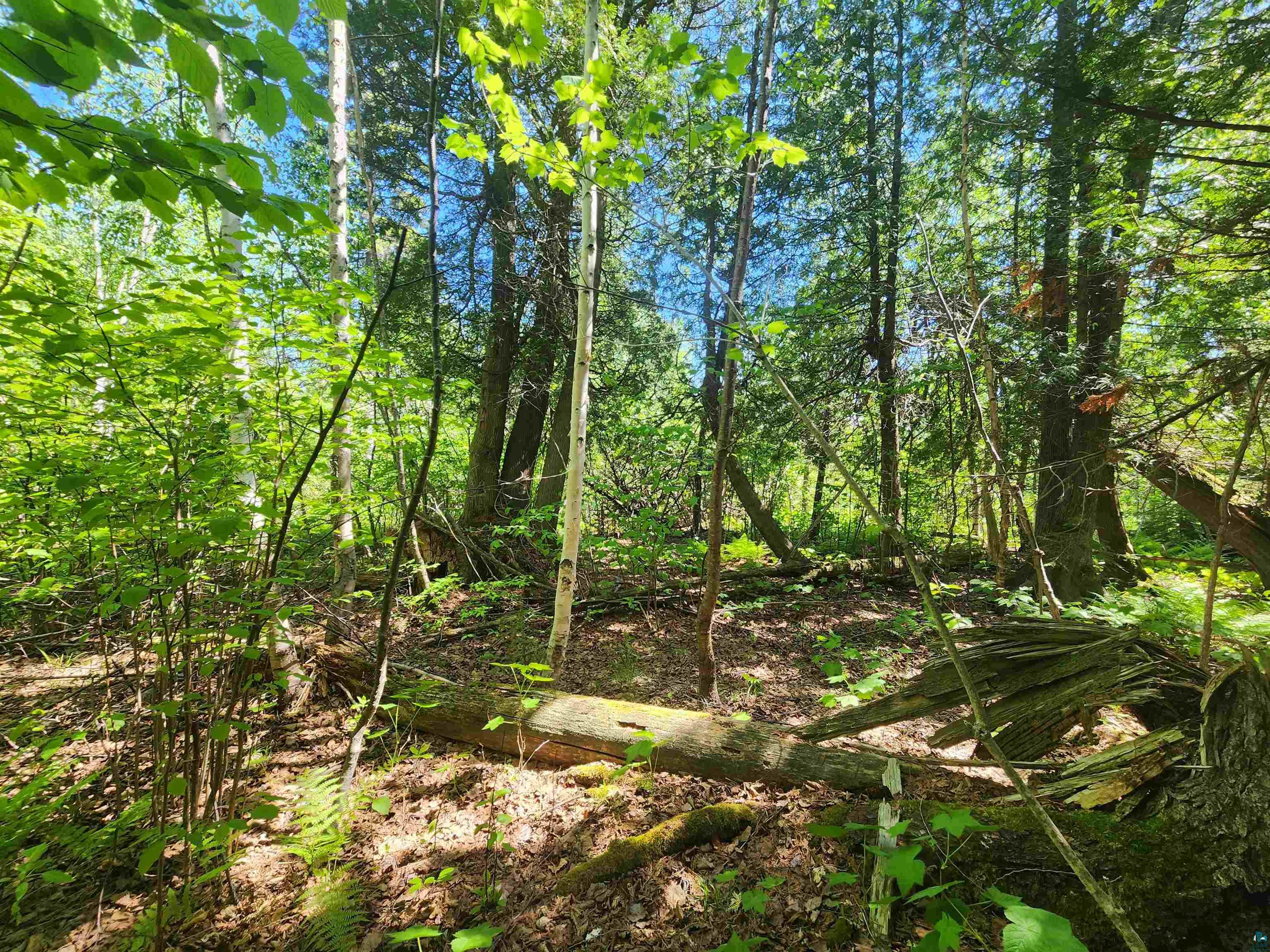 15X Ski Hill Rd Lutsen MN 55612 6125909 image14