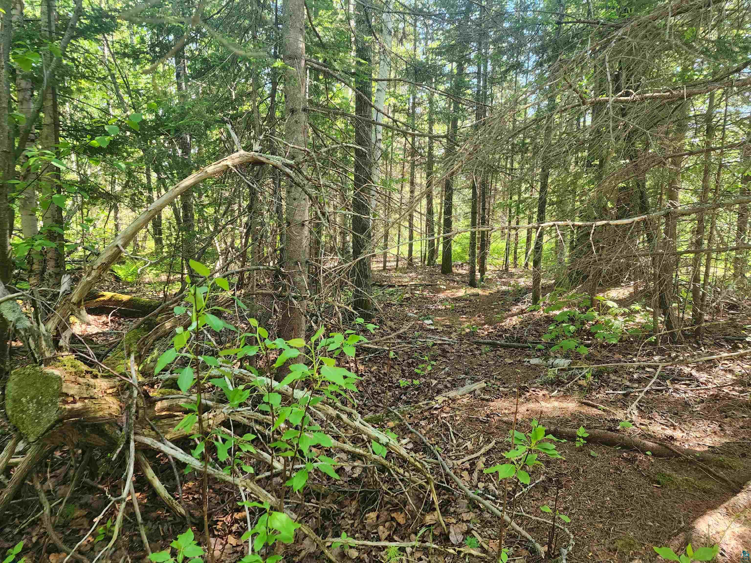 15X Ski Hill Rd Lutsen MN 55612 6125909 image15