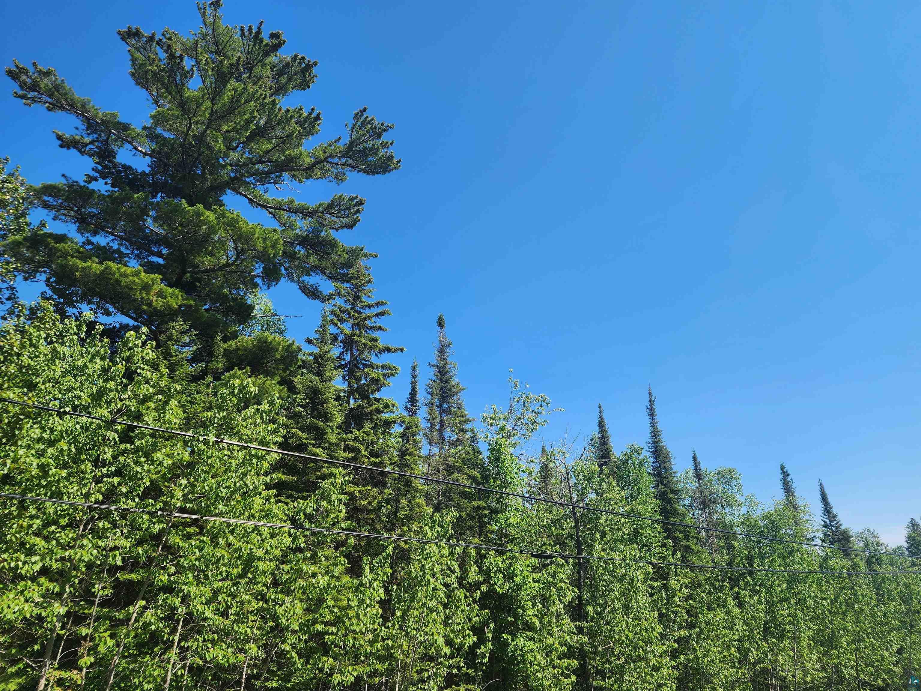 15X Ski Hill Rd Lutsen MN 55612 6125909 image4