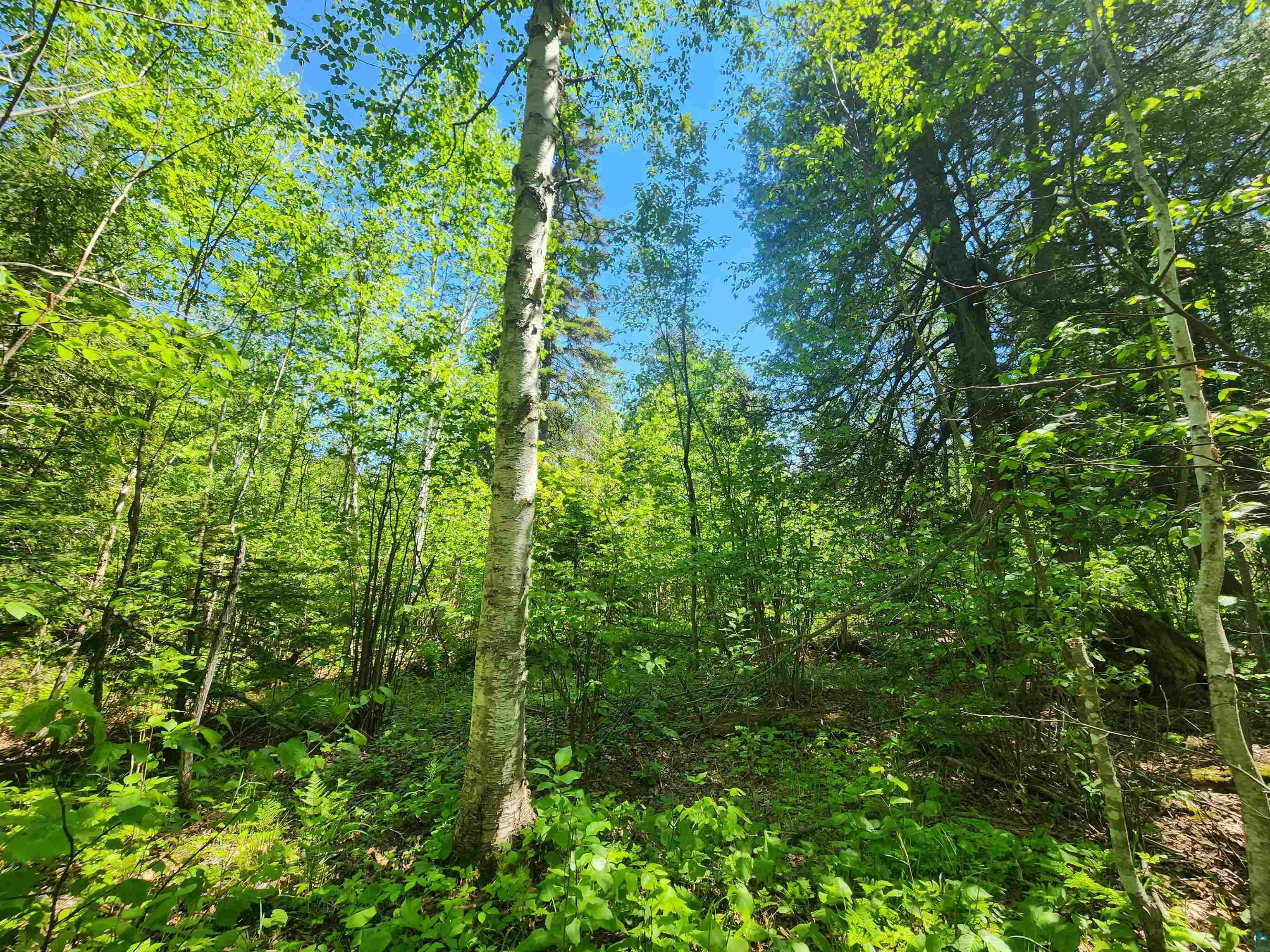 15X Ski Hill Rd Lutsen MN 55612 6125909 image6
