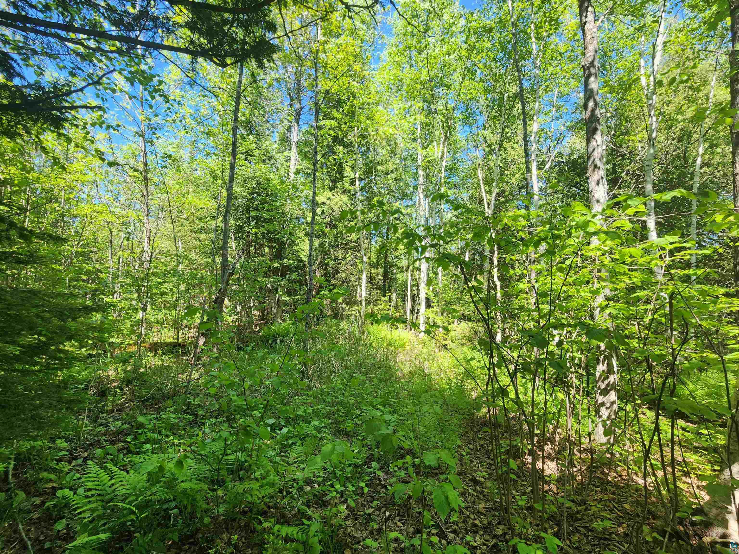 15X Ski Hill Rd Lutsen MN 55612 6125909 image8