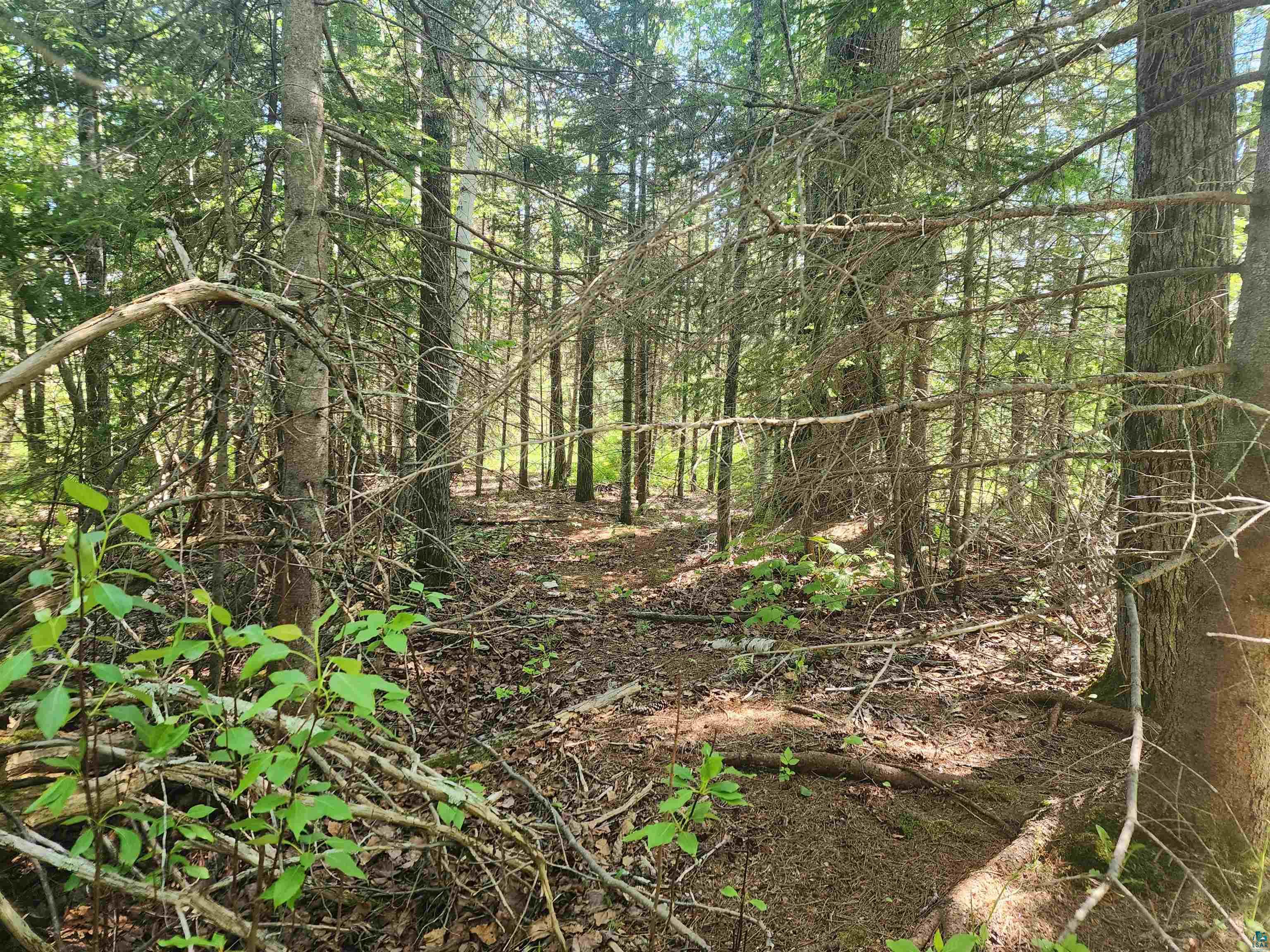 15X Ski Hill Rd Lutsen MN 55612 6125909 image9