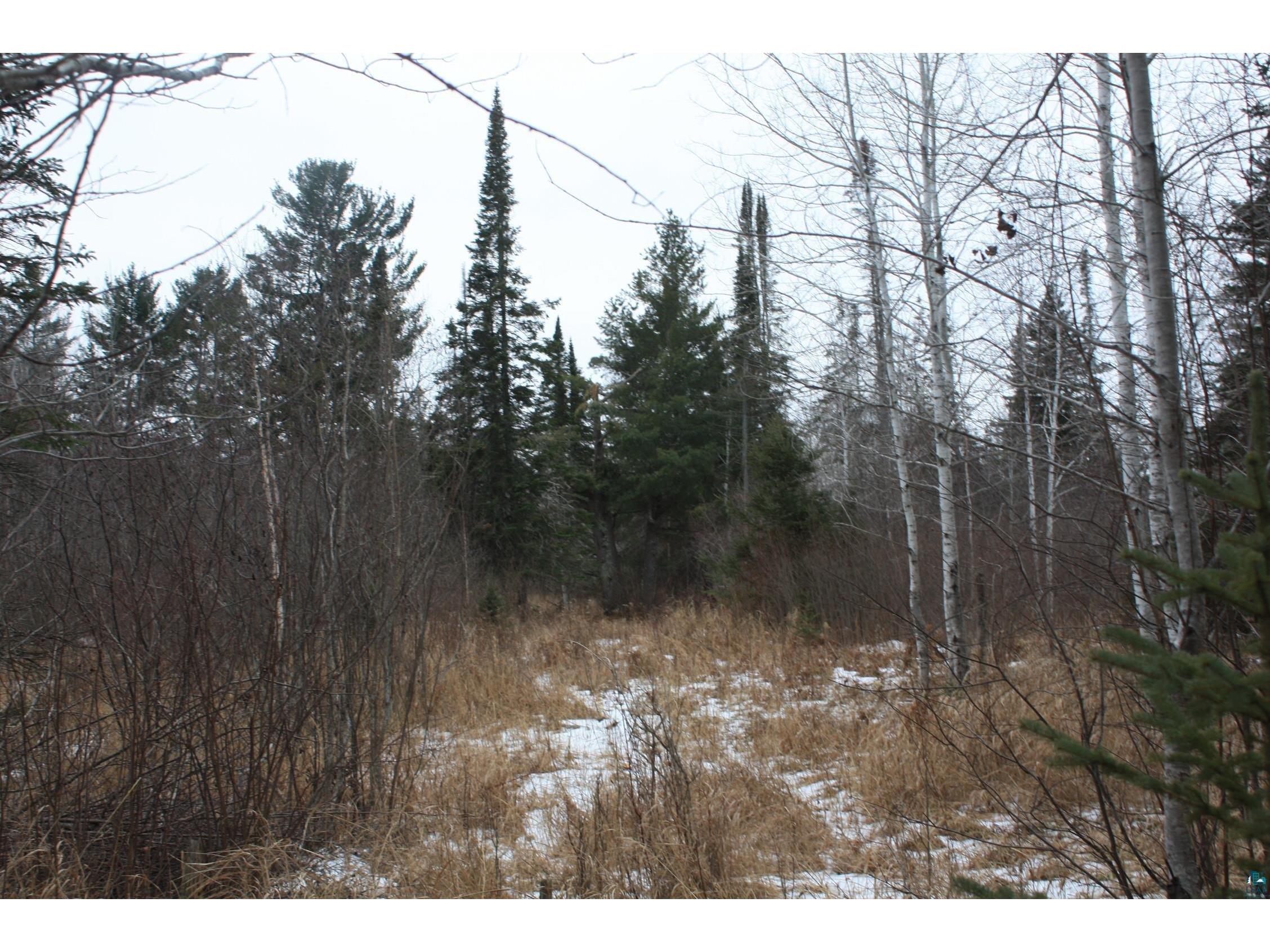 15XX Becks Rd Maple WI 54854 6117300 image1