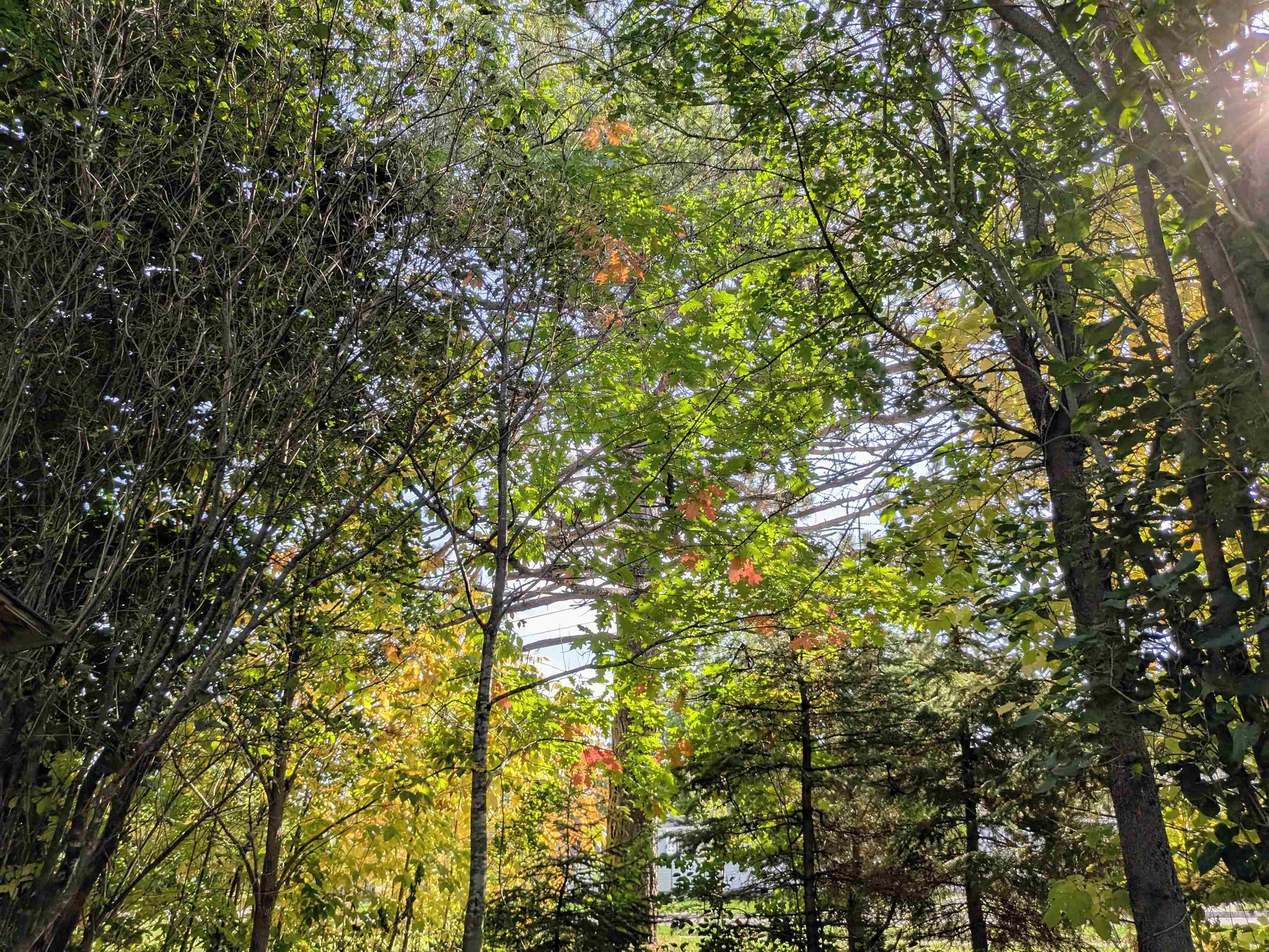 1607 6th St E Ashland WI 54806 6122216 image12