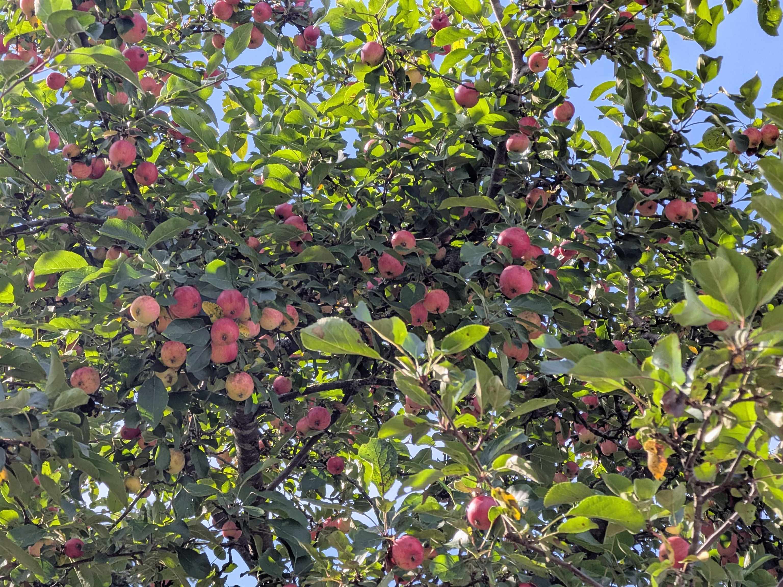 1607 6th St E Ashland WI 54806 6122216 image13