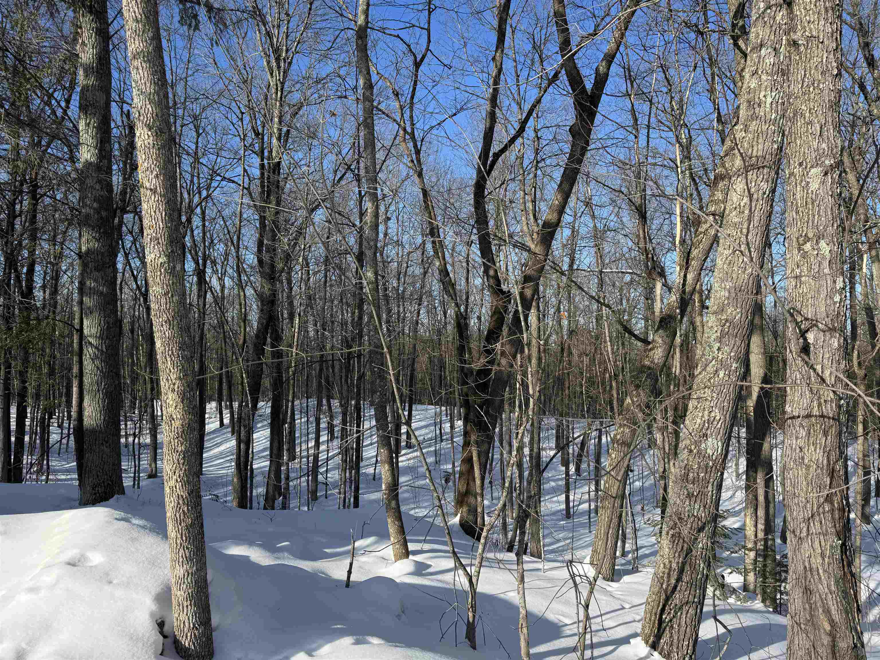 16090 W State Hwy 27 Hayward WI 54843 6123551 image10