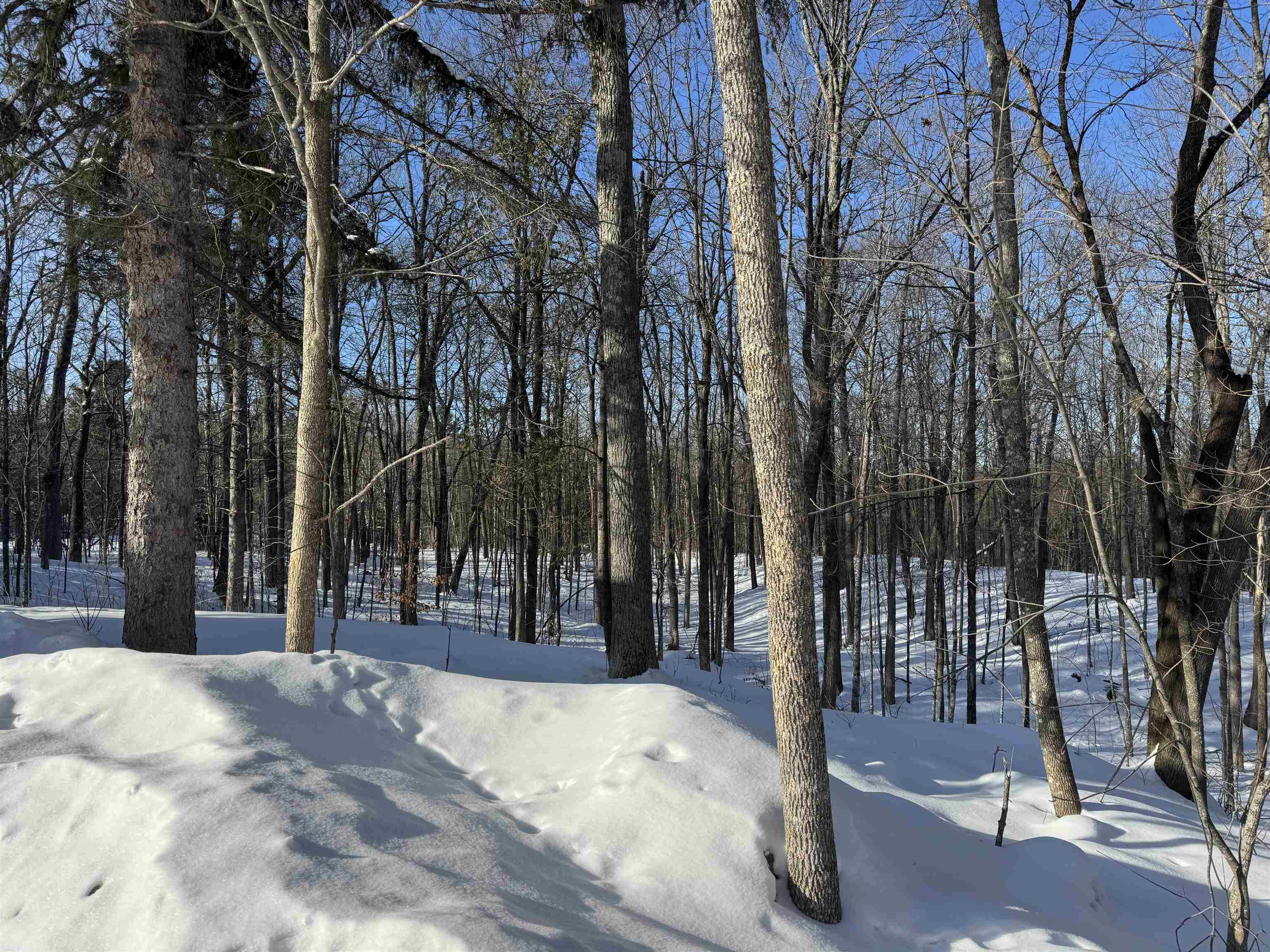 16090 W State Hwy 27 Hayward WI 54843 6123551 image11