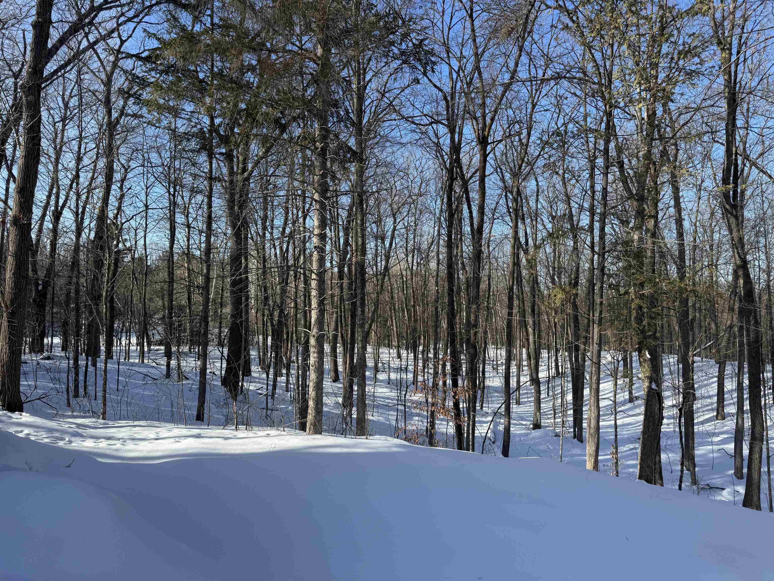 16090 W State Hwy 27 Hayward WI 54843 6123551 image12