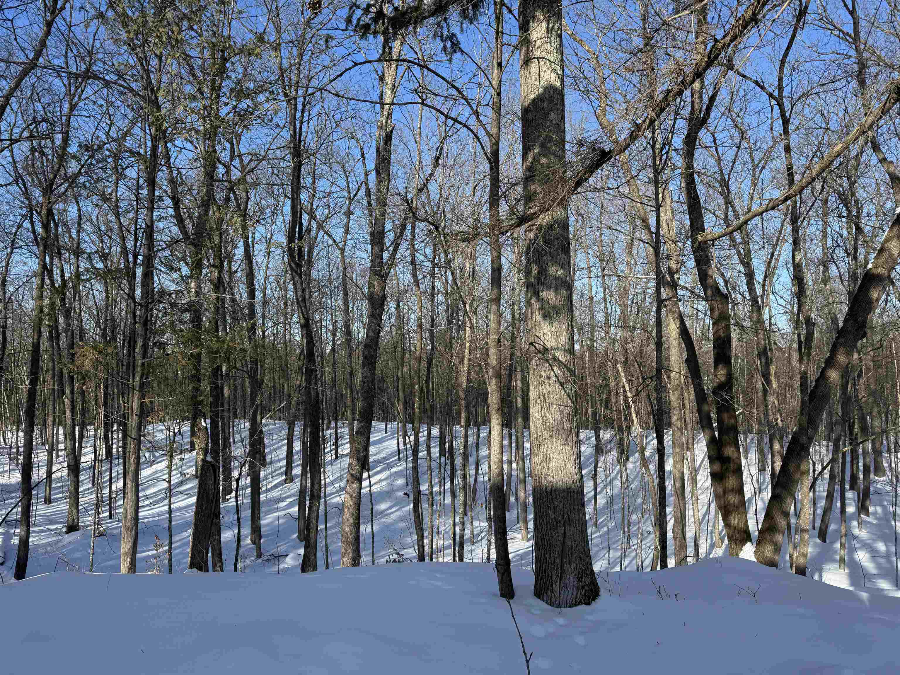 16090 W State Hwy 27 Hayward WI 54843 6123551 image13