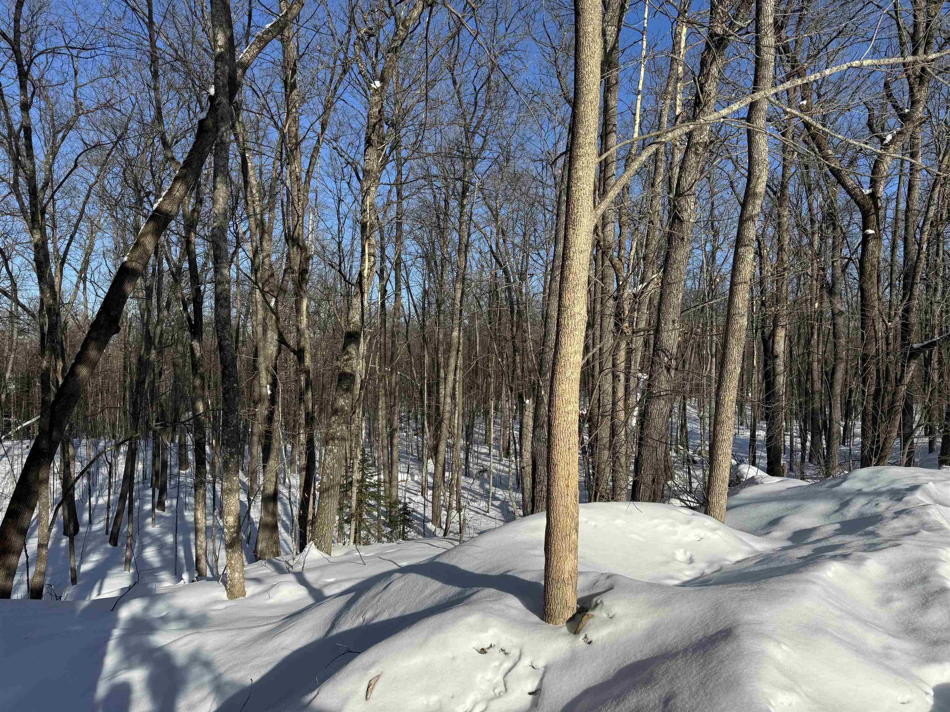 16090 W State Hwy 27 Hayward WI 54843 6123551 image14