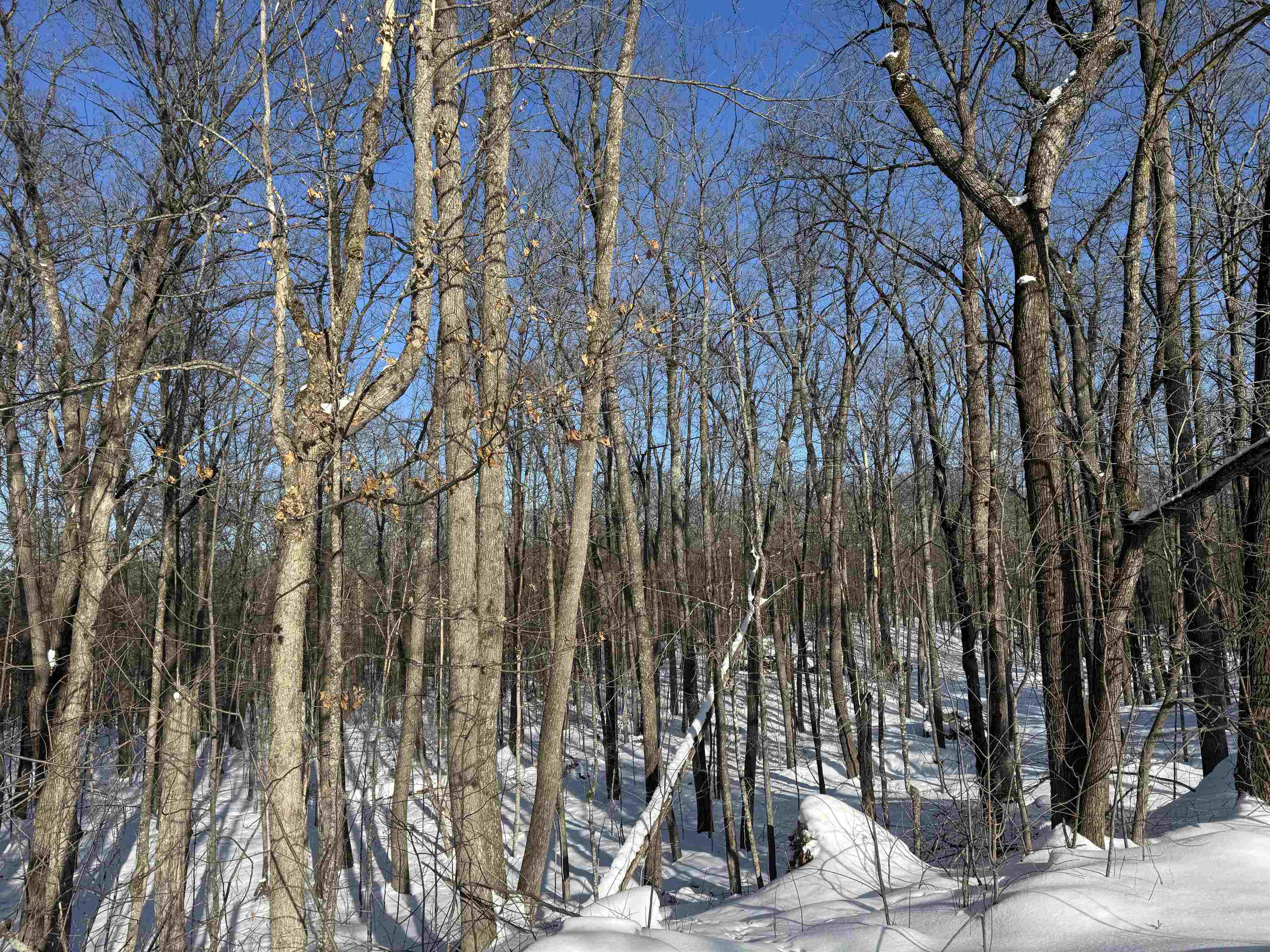 16090 W State Hwy 27 Hayward WI 54843 6123551 image8