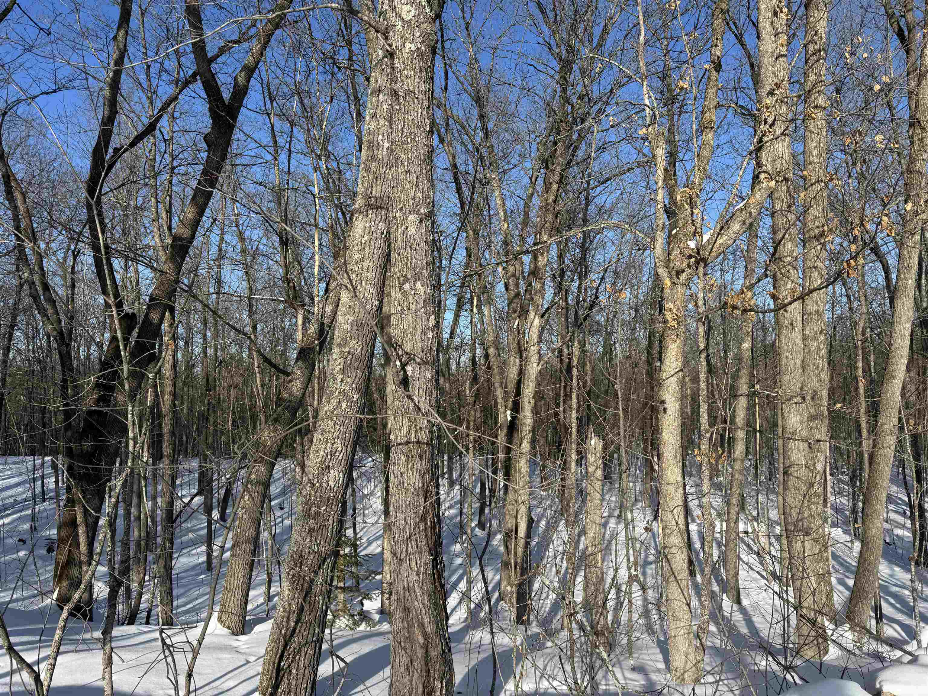 16090 W State Hwy 27 Hayward WI 54843 6123551 image9