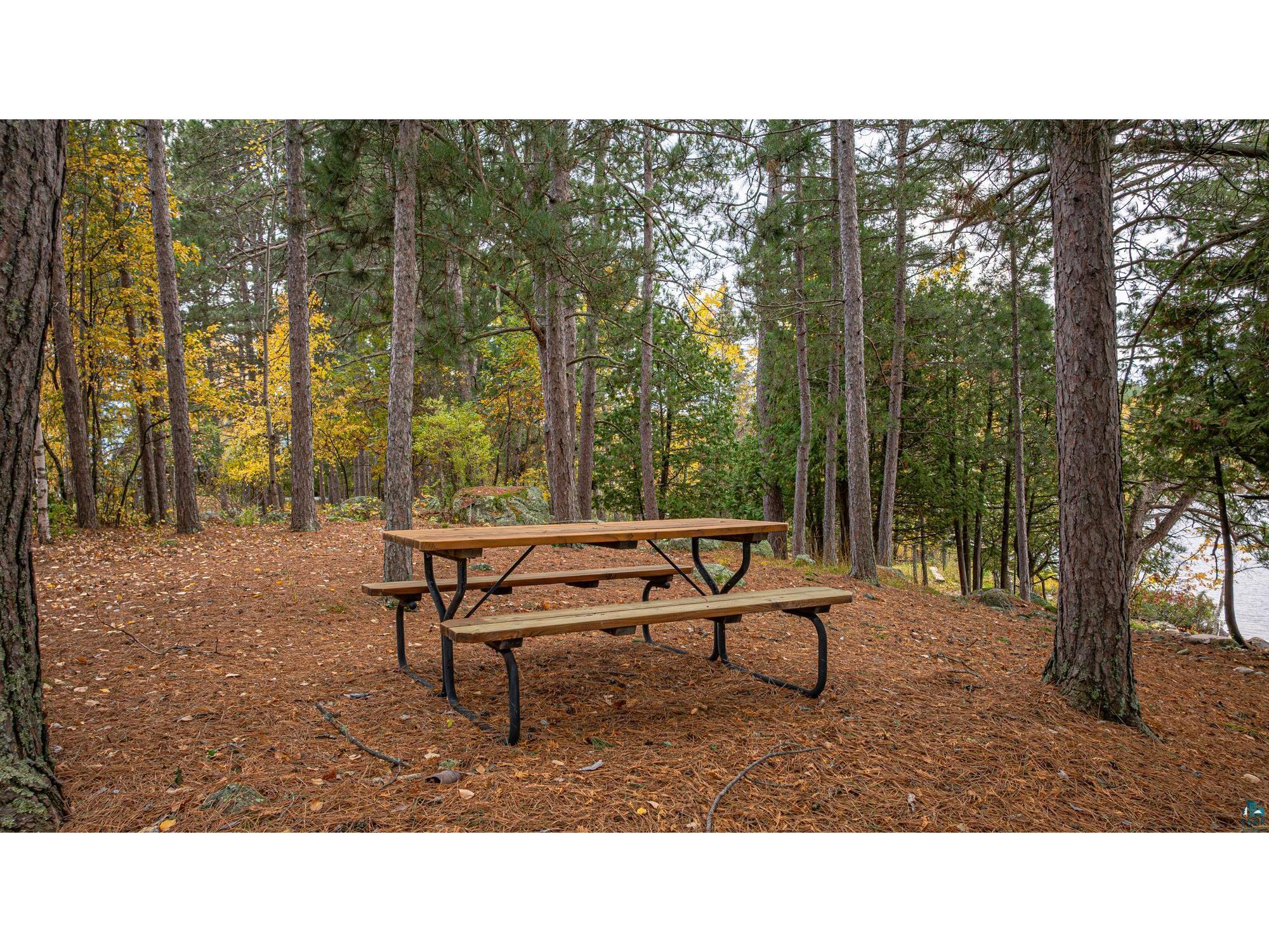 1621 N Pioneer Rd Ely MN 55731 - Shagawa Lake 6124116 image90