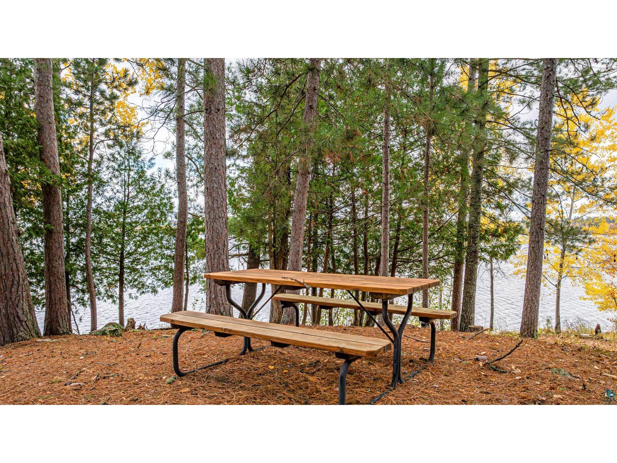 1621 N Pioneer Rd Ely MN 55731 - Shagawa Lake 6124116 image91