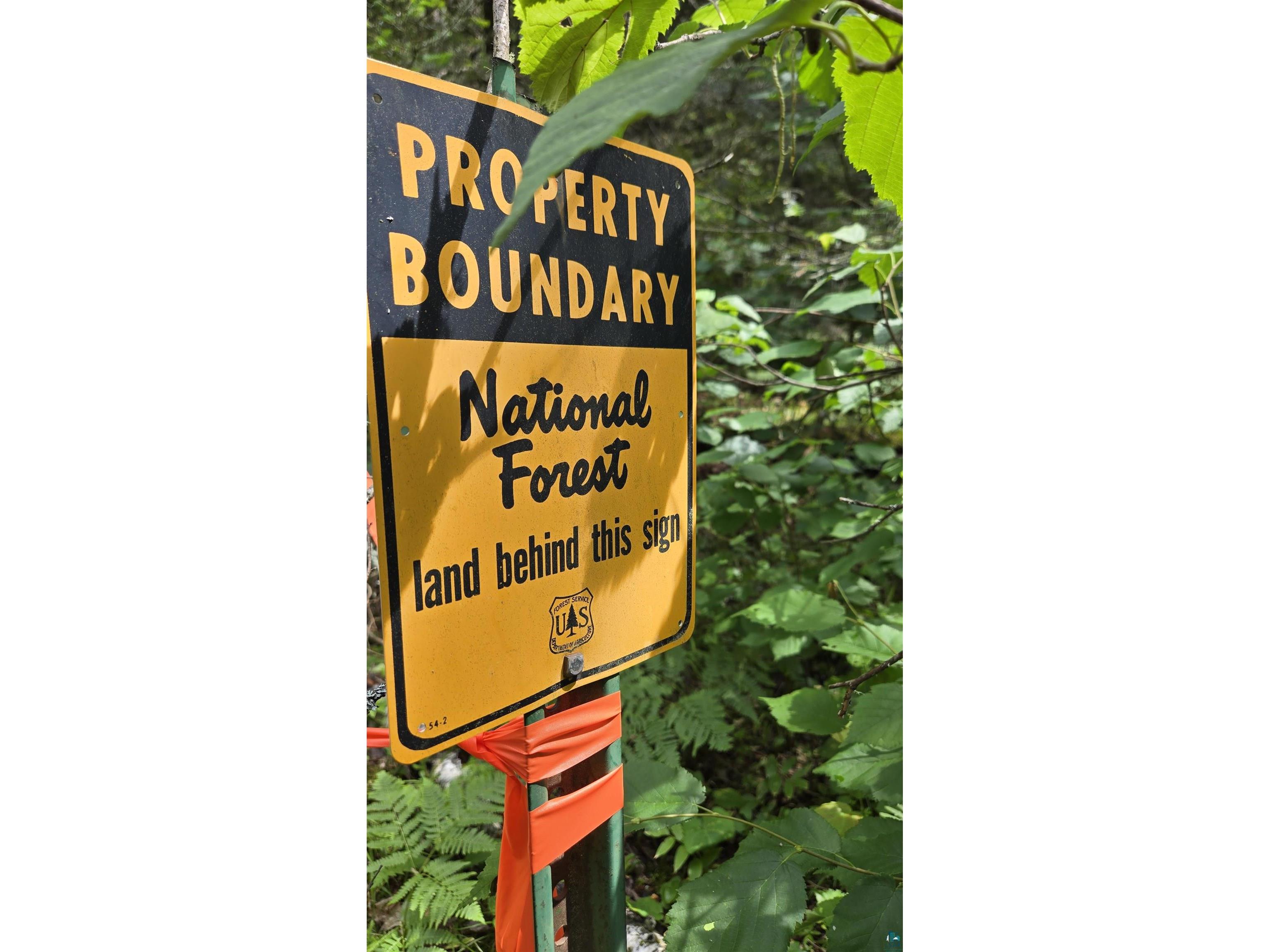 163 Rollick Creek Crane Lake MN 55725 - Crane 6120652 image13