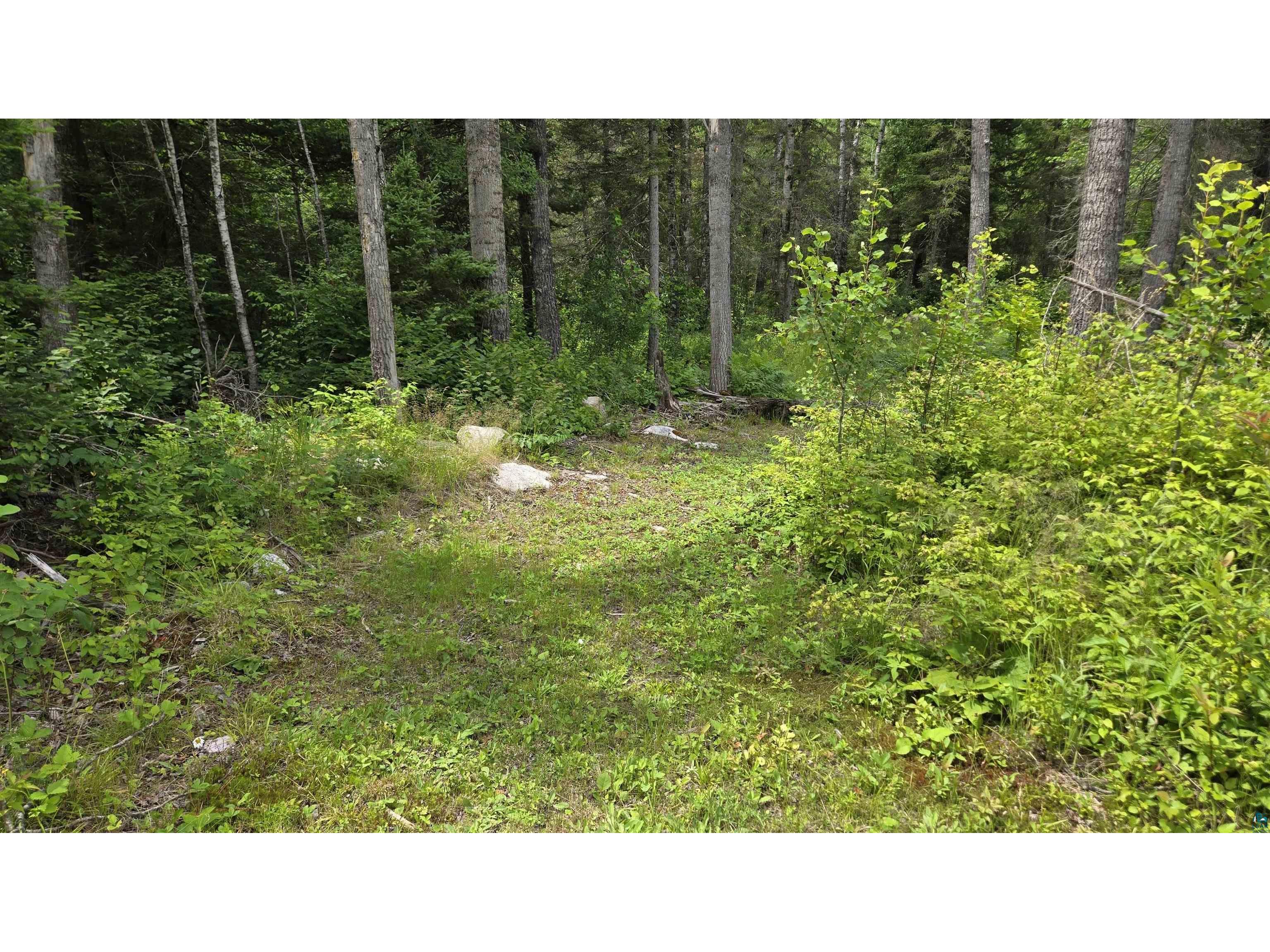 163 Rollick Creek Crane Lake MN 55725 - Crane 6120652 image39