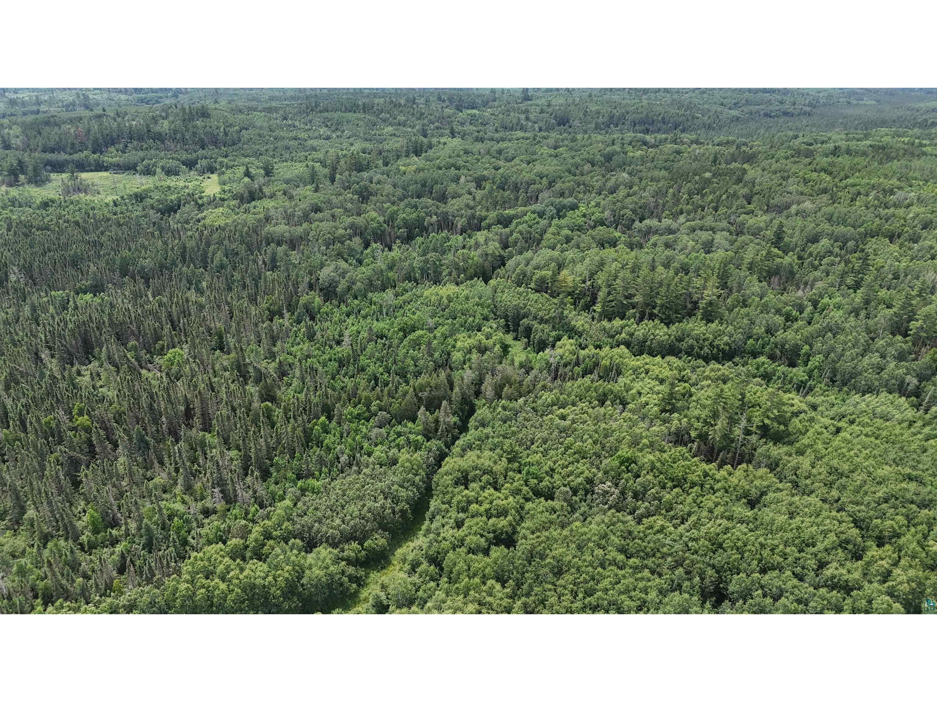 163 Rollick Creek Crane Lake MN 55725 - Crane 6120652 image42