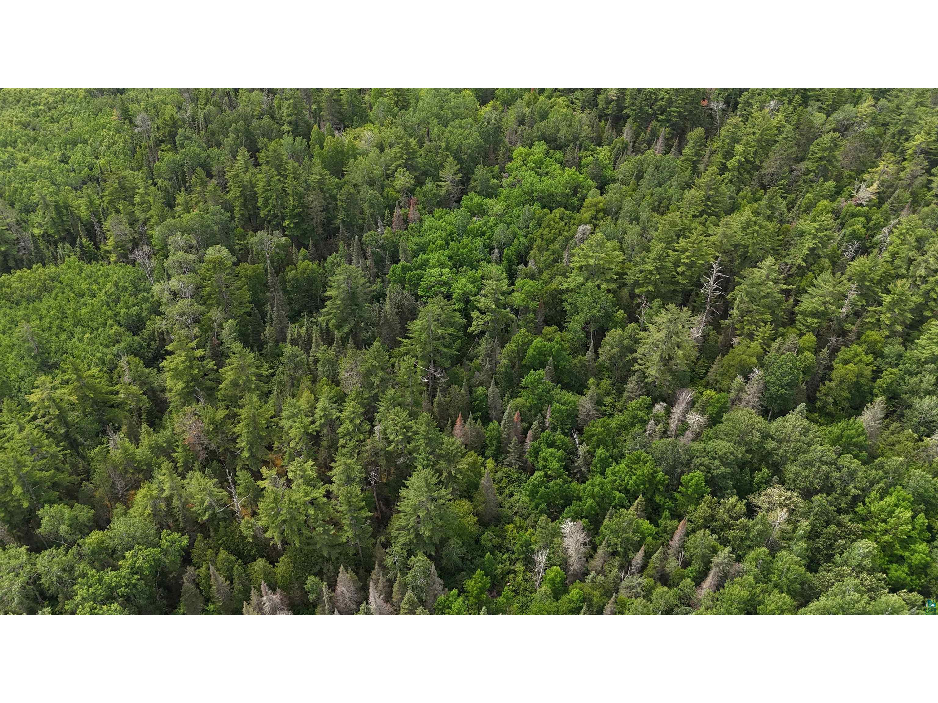 163 Rollick Creek Crane Lake MN 55725 - Crane 6120652 image43