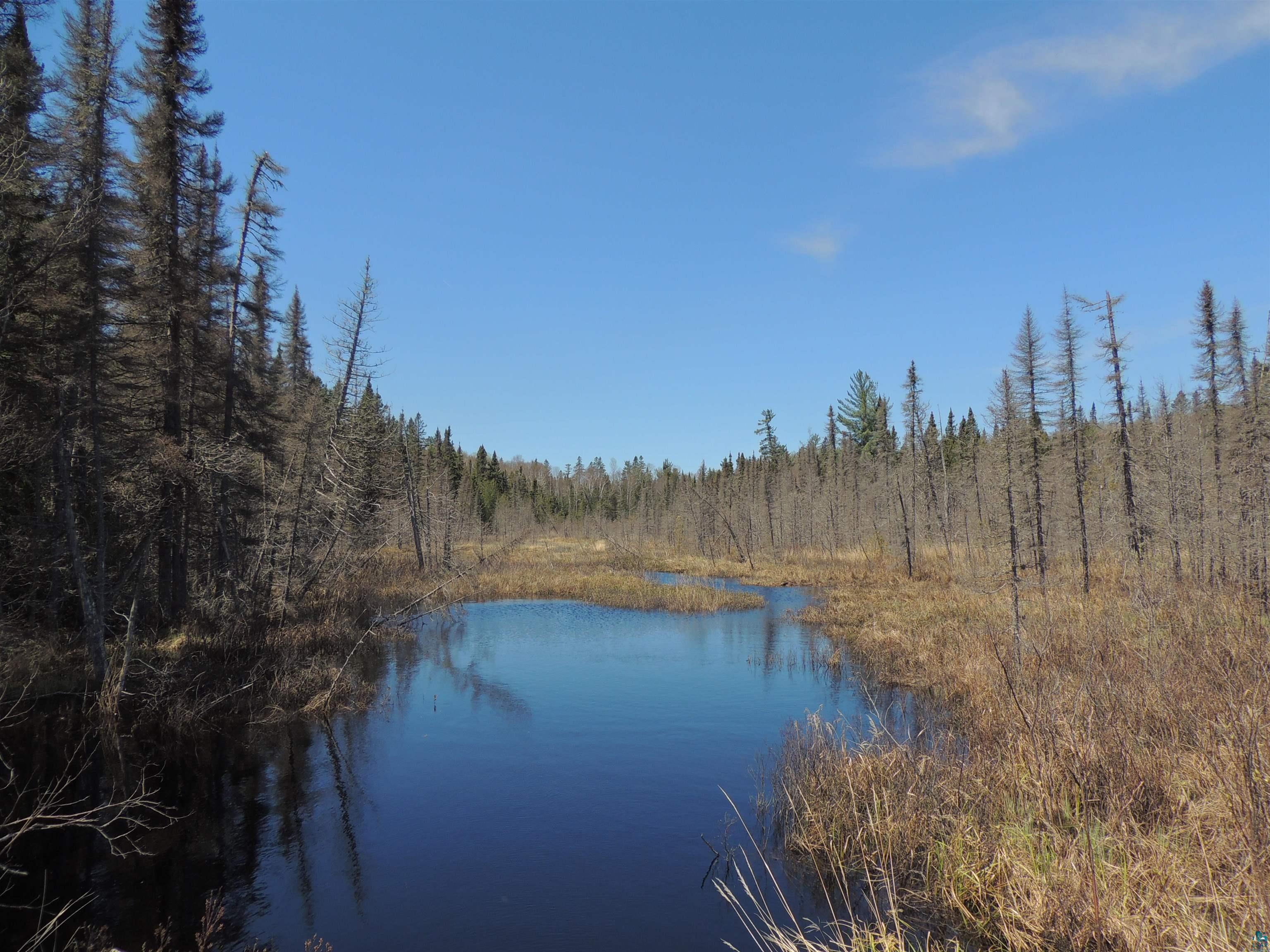 1639 Camp 20 Rd Hovland MN 55606 6119481 image1