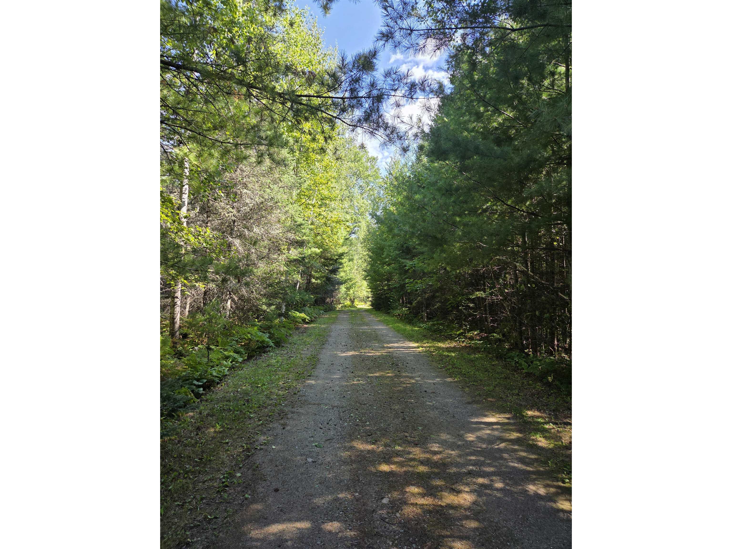 1663 Saari Rd Ely MN 55731 - White Iron 6121747 image27