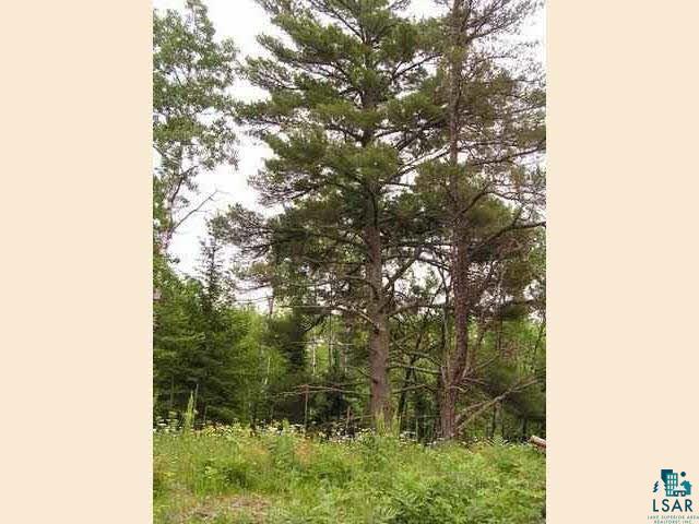 1687 Golden Ridge Tr Ely MN 55731 6124884 image1