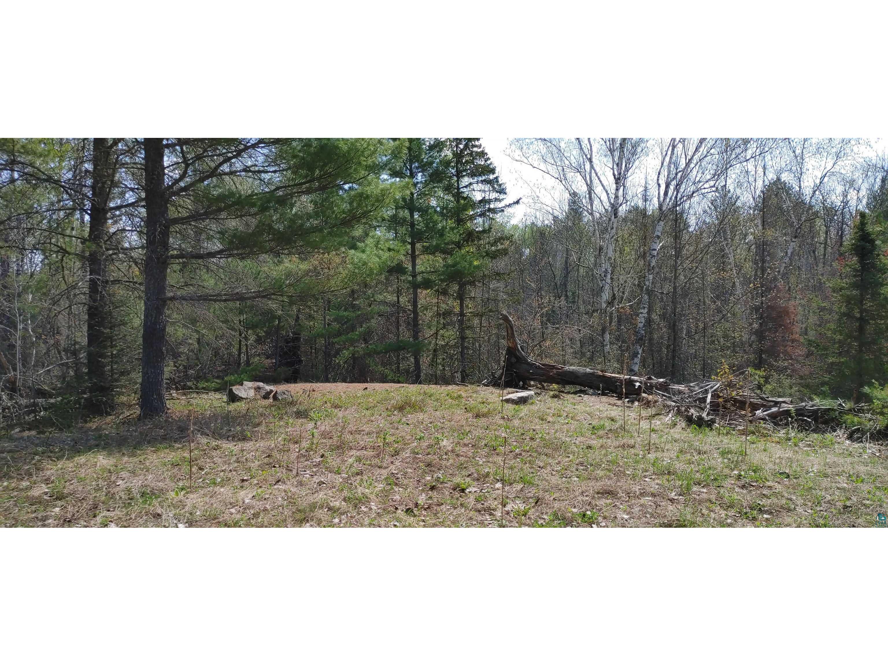 1687 Golden Ridge Tr Ely MN 55731 6124884 image11