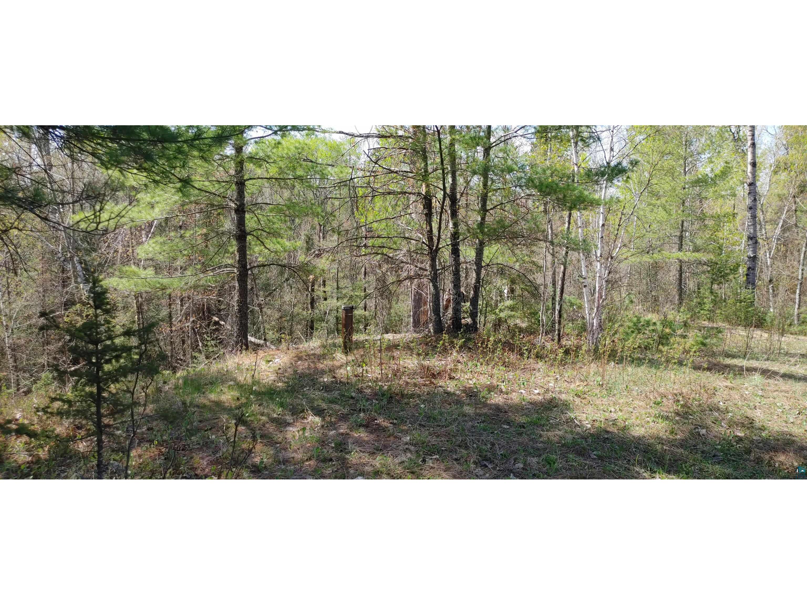 1687 Golden Ridge Tr Ely MN 55731 6124884 image12