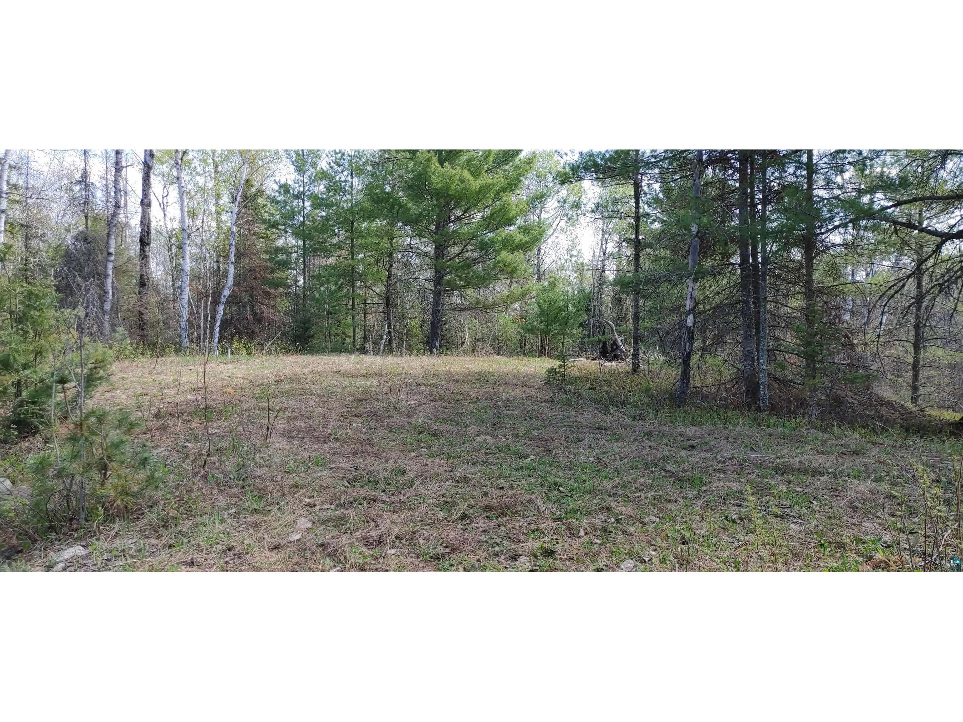 1687 Golden Ridge Tr Ely MN 55731 6124884 image13